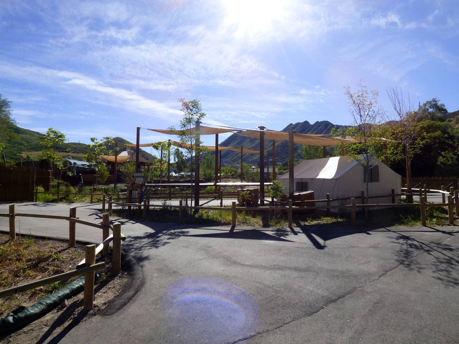 African Savanna Exhibit