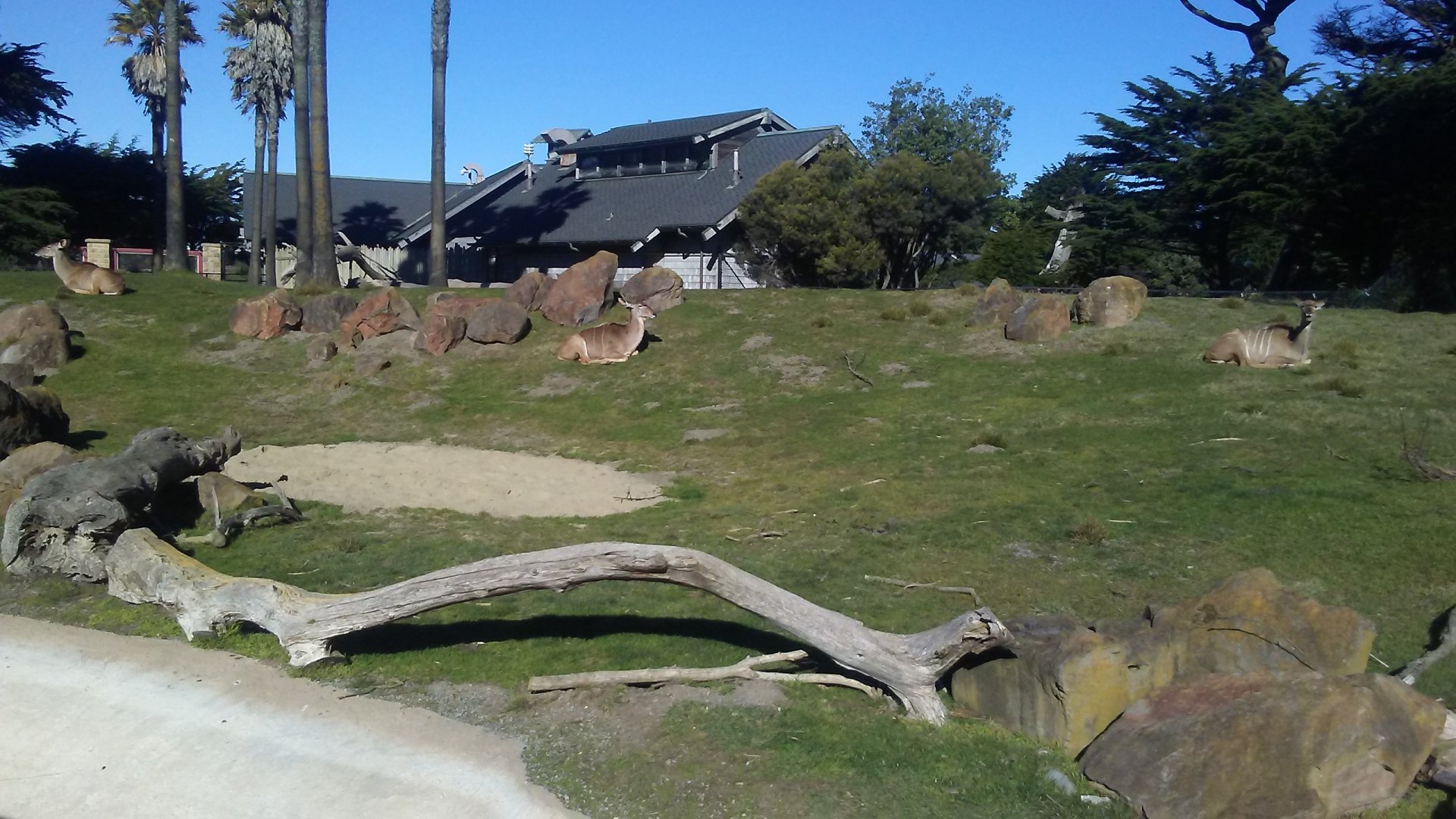 African Savanna exhibit