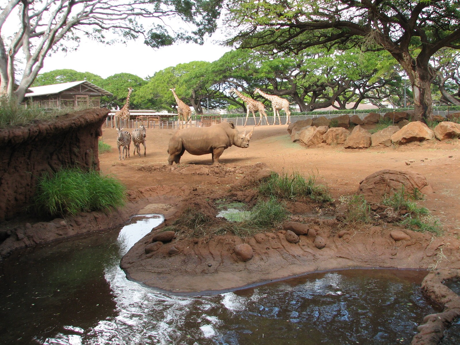 African Savanna Exhibit