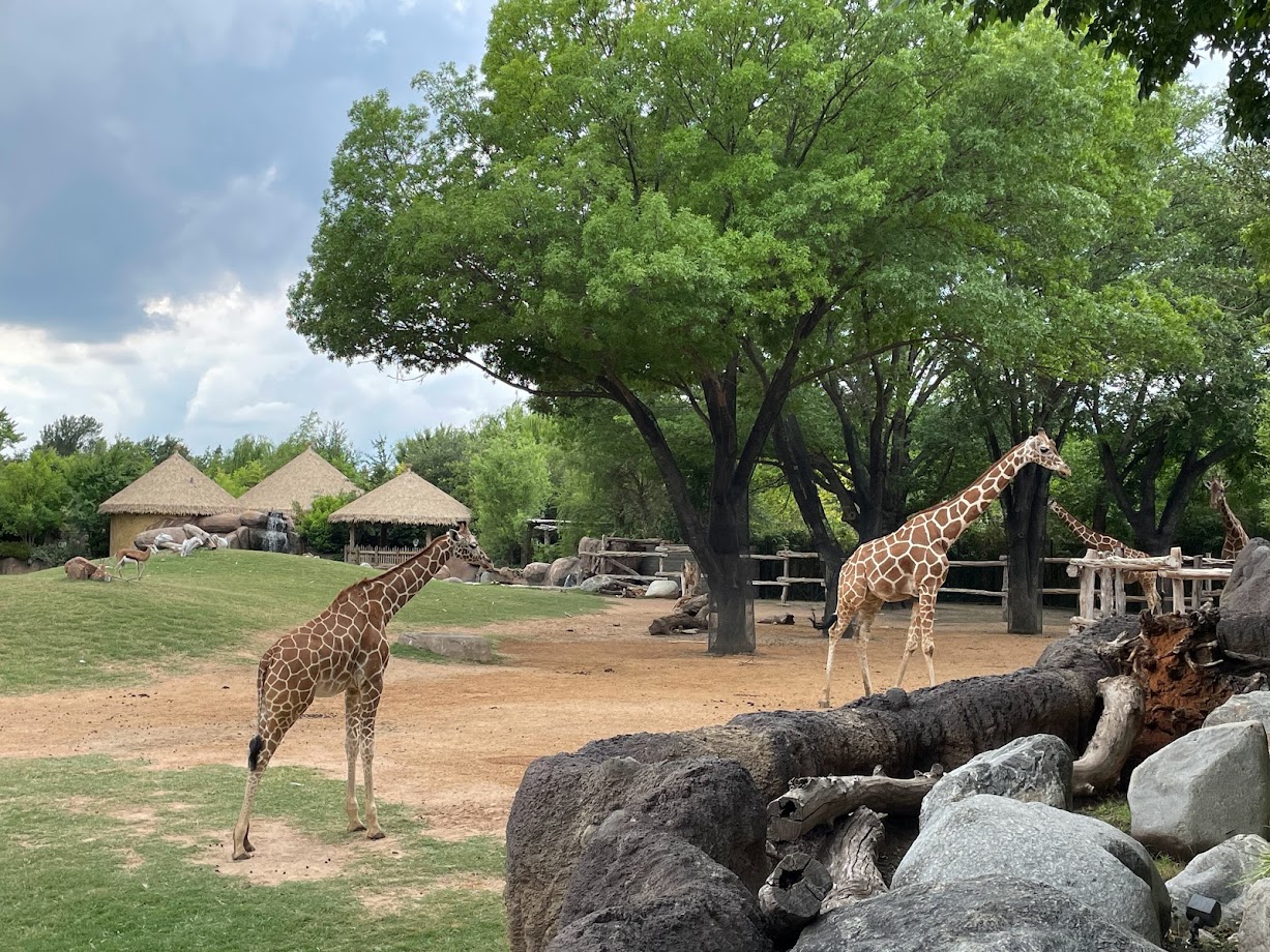 African Savanna Exhibit