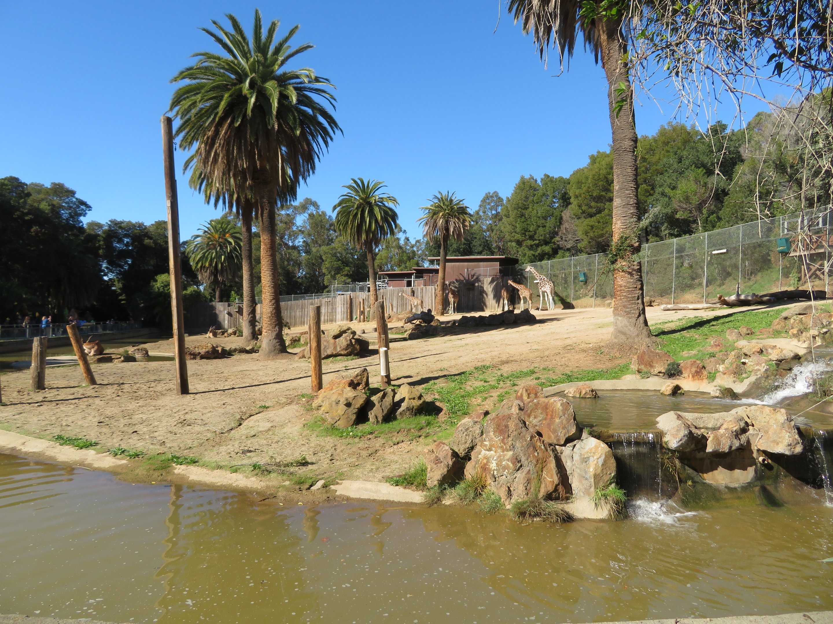 African Savanna Exhibit