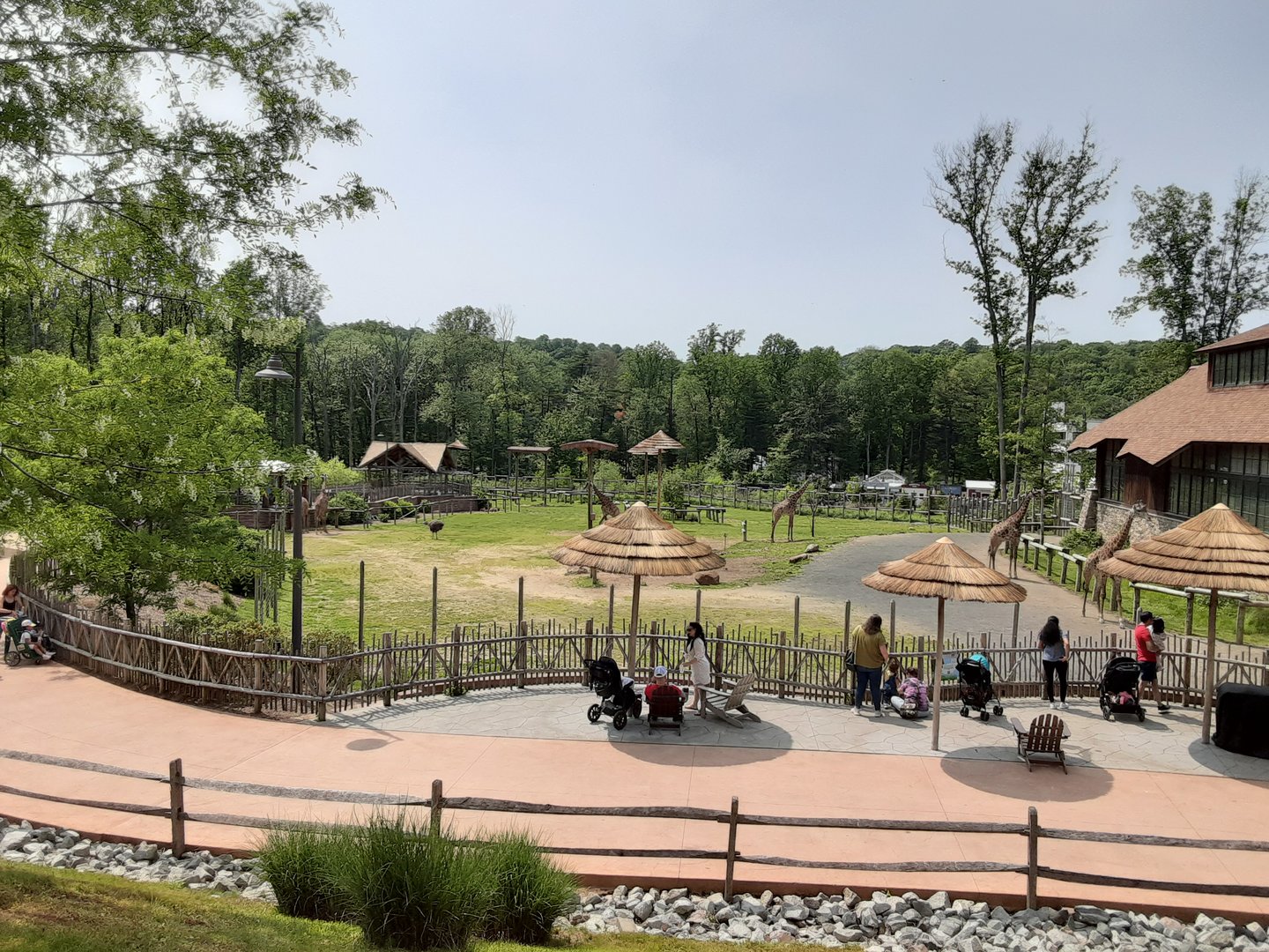 African Savanna Exhibit