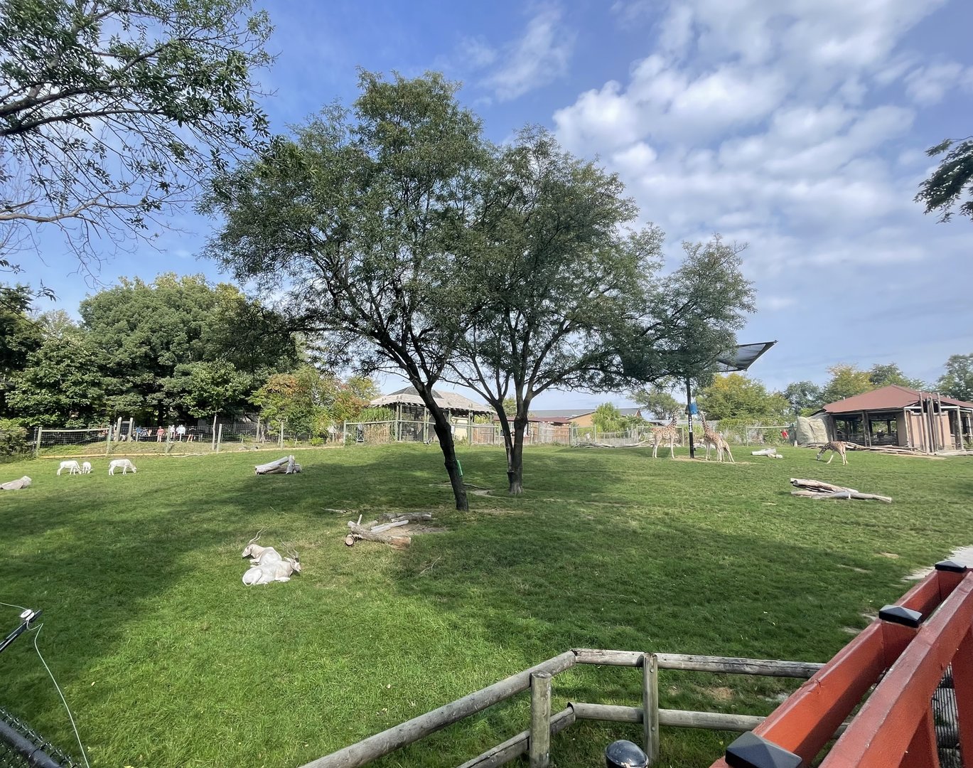 African Savanna Exhibit
