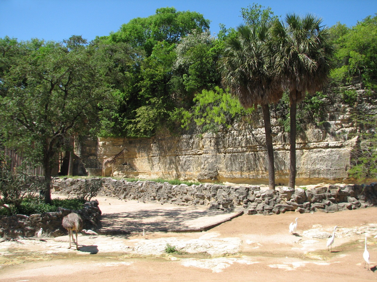 African Savanna Exhibit