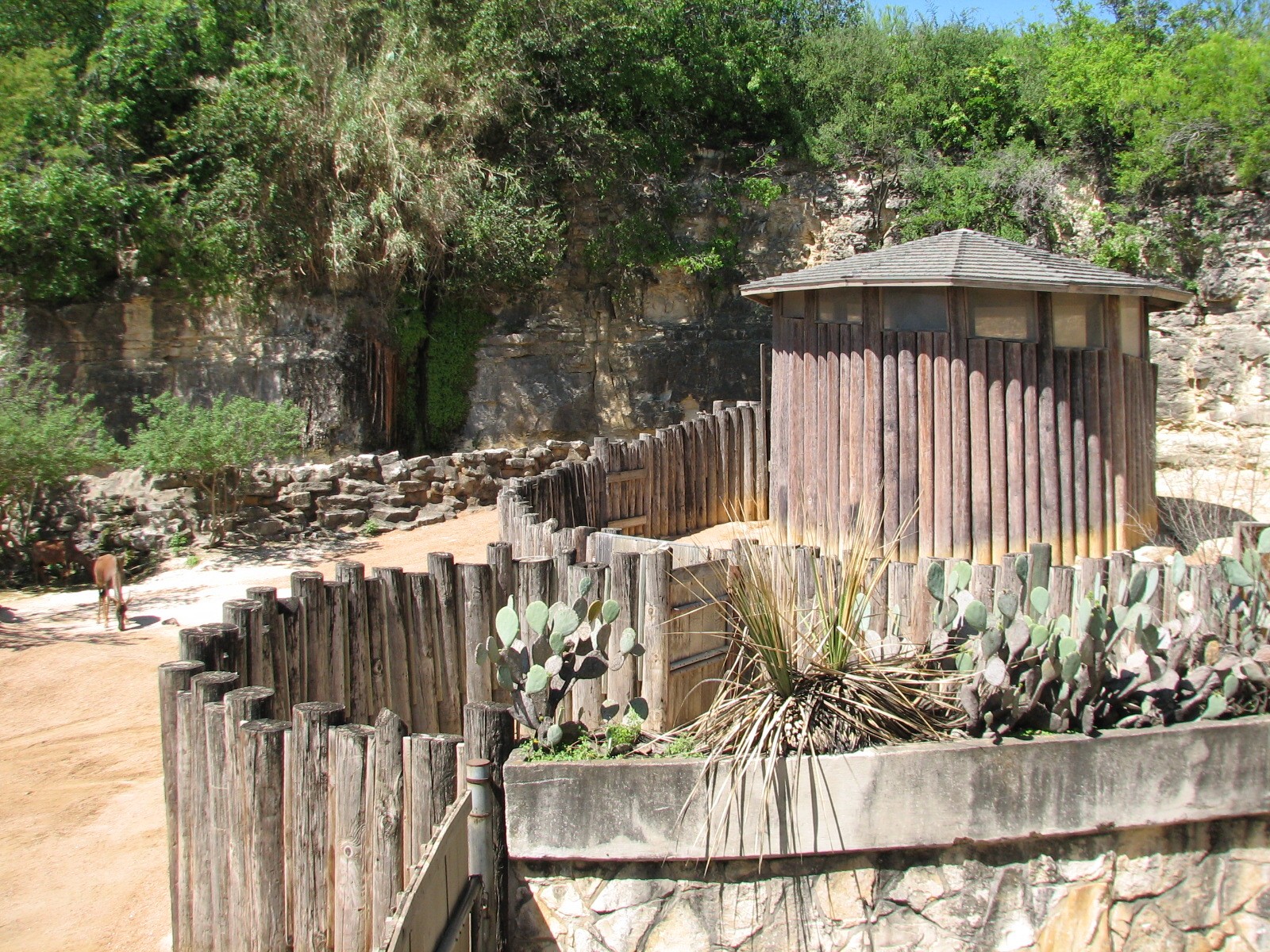 African Savanna Exhibit