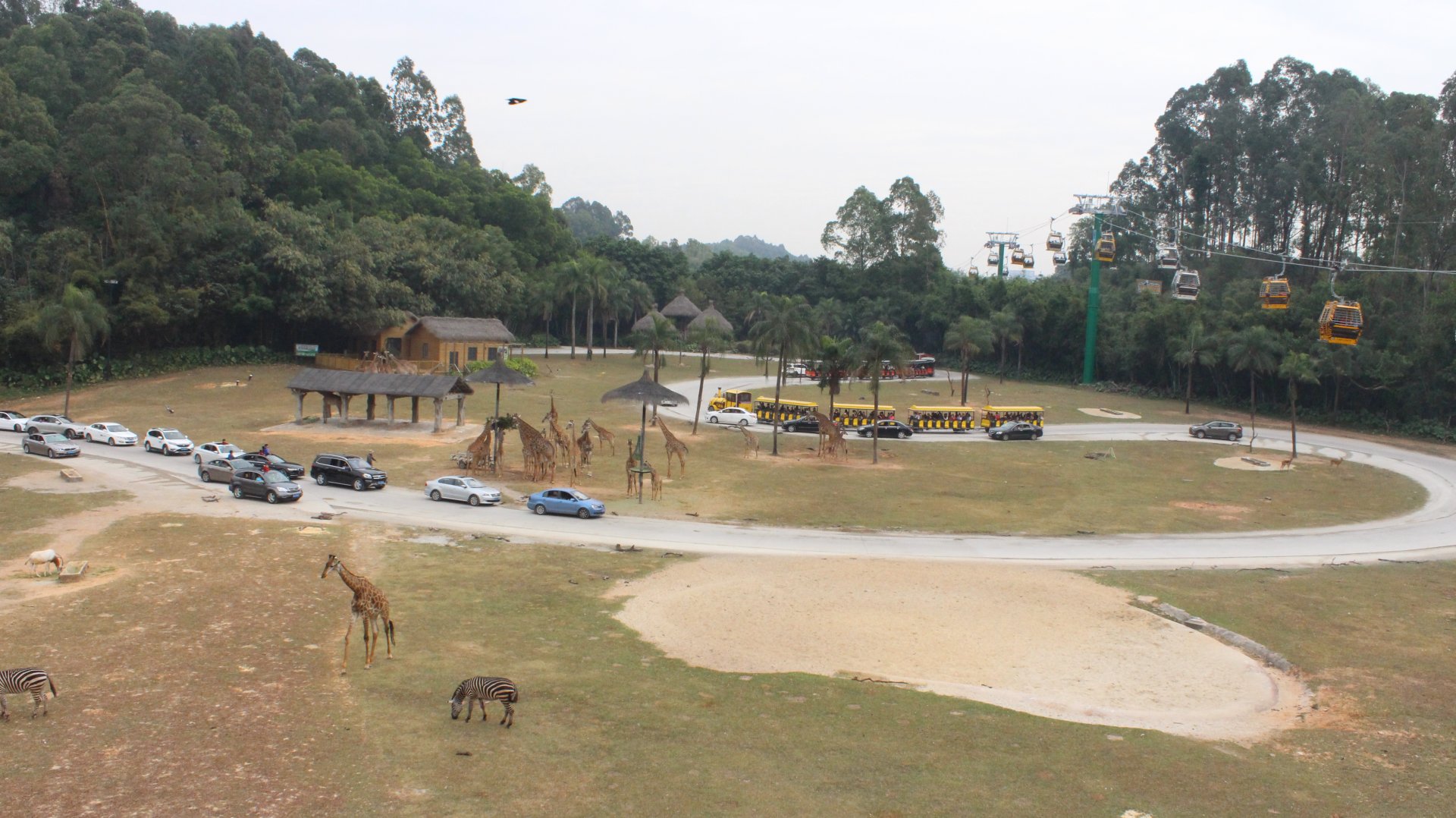 African savanna from cable car