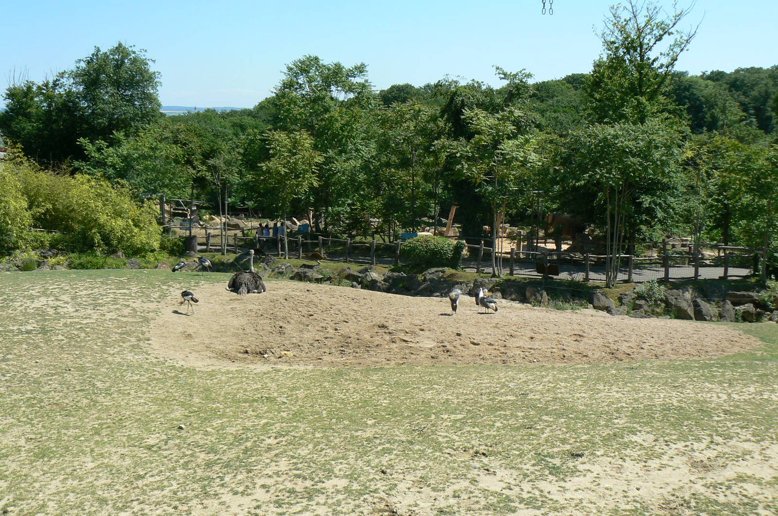 African savanna - general view