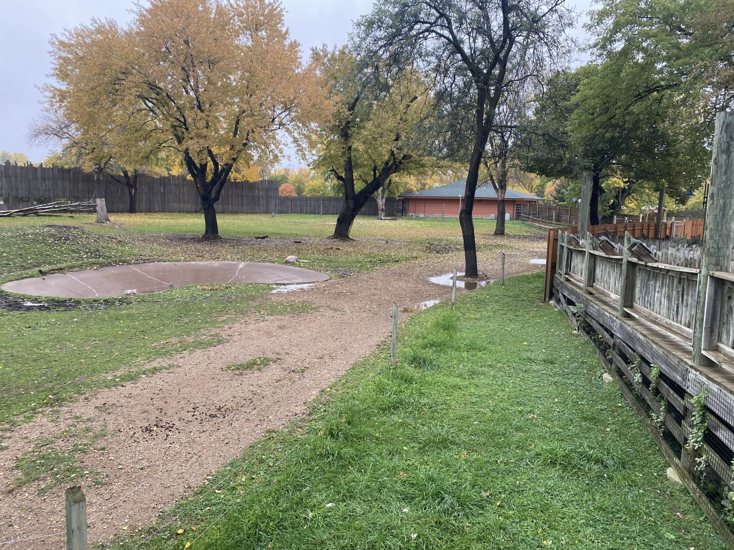 African Savanna - Generic Giraffe/Grevys Zebra/Common Ostrich/Grey-Crowned Crane Exhibit