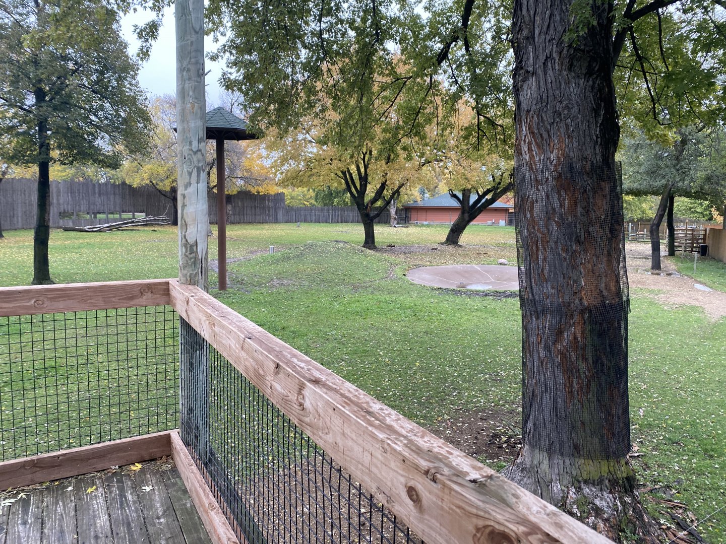 African Savanna - Generic Giraffe/Grevys Zebra/Common Ostrich/Grey-Crowned Crane Exhibit