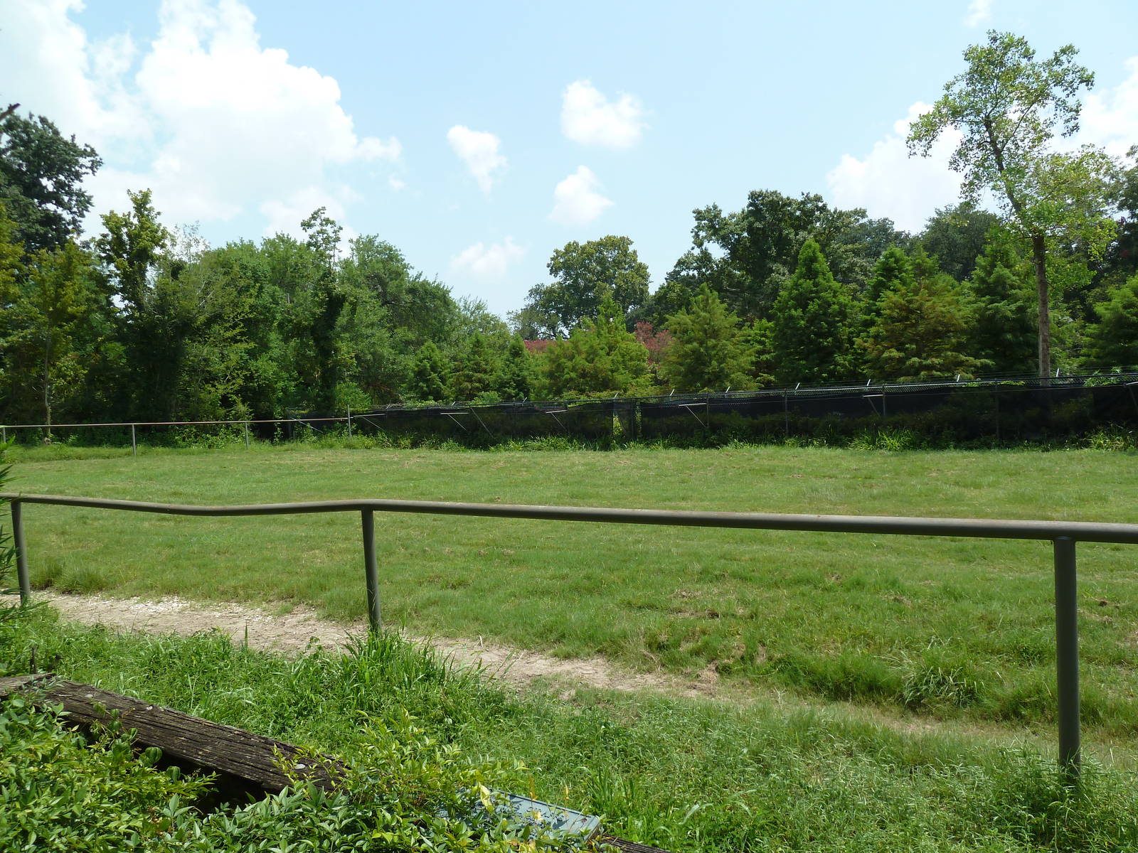 African Savanna - Giraffe/Crowned Crane Exhibit