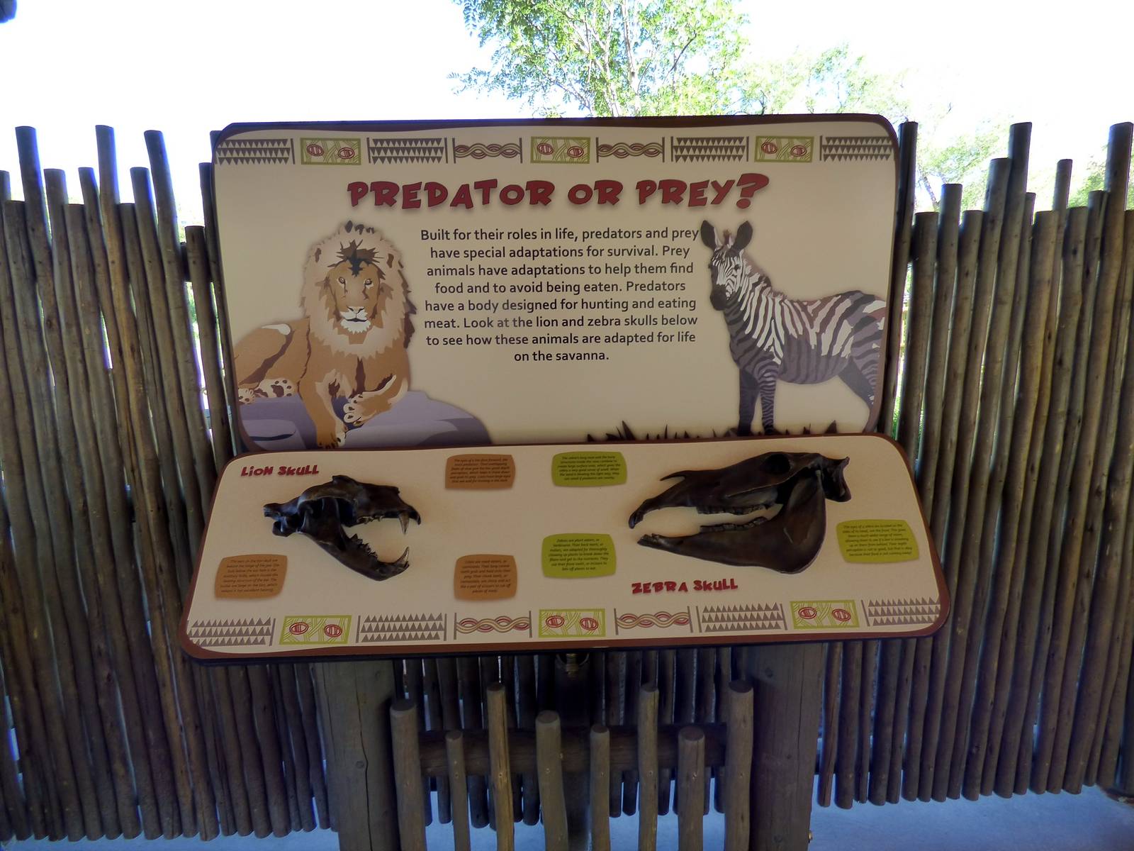 African Savanna - Graphic