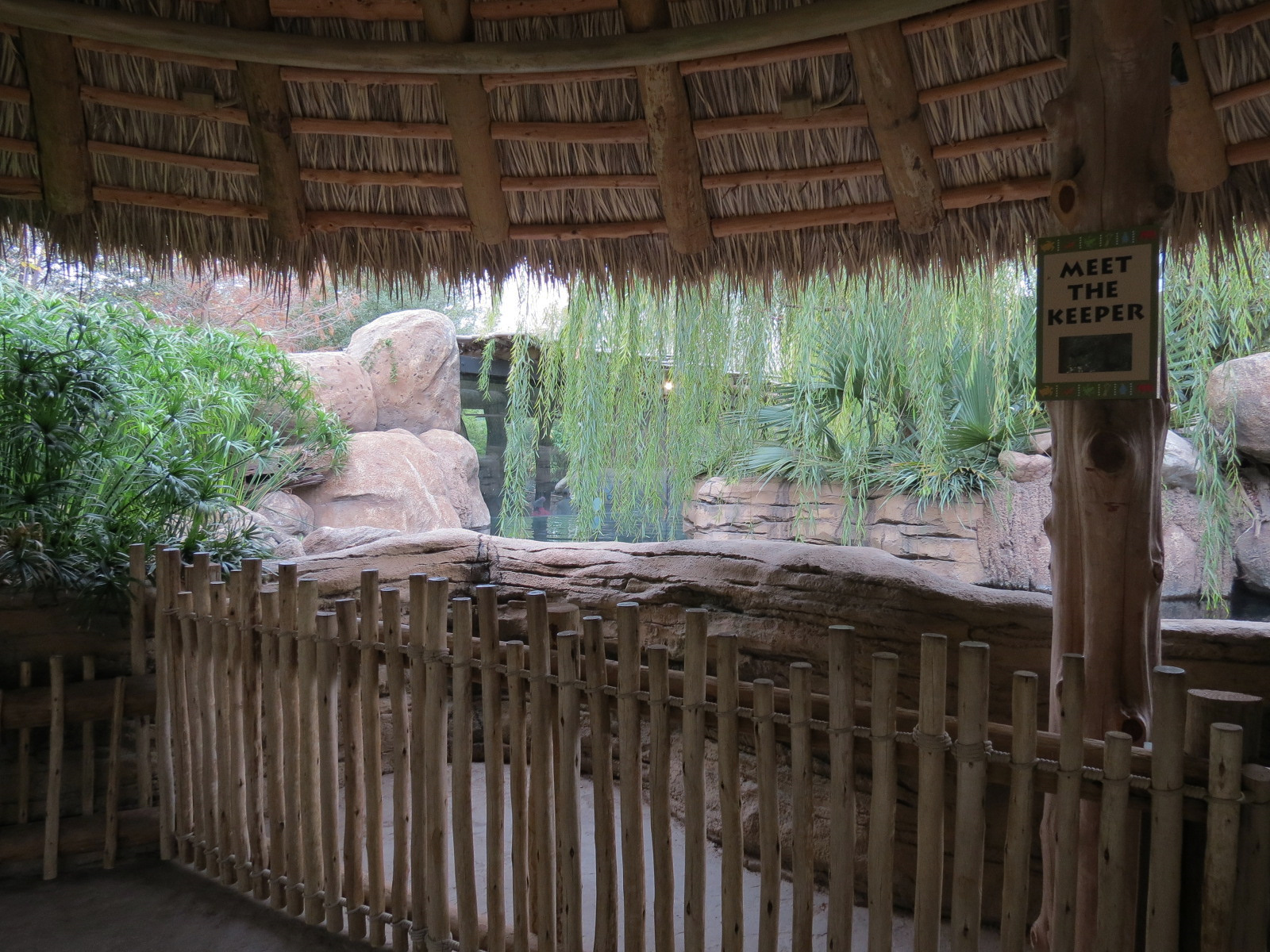 African Savanna - Hippopotamus Exhibit
