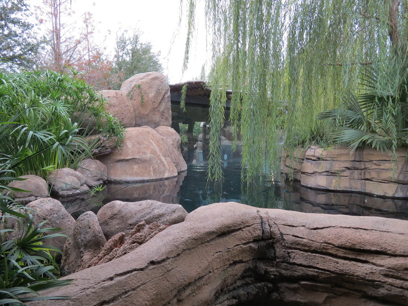African Savanna - Hippopotamus Exhibit