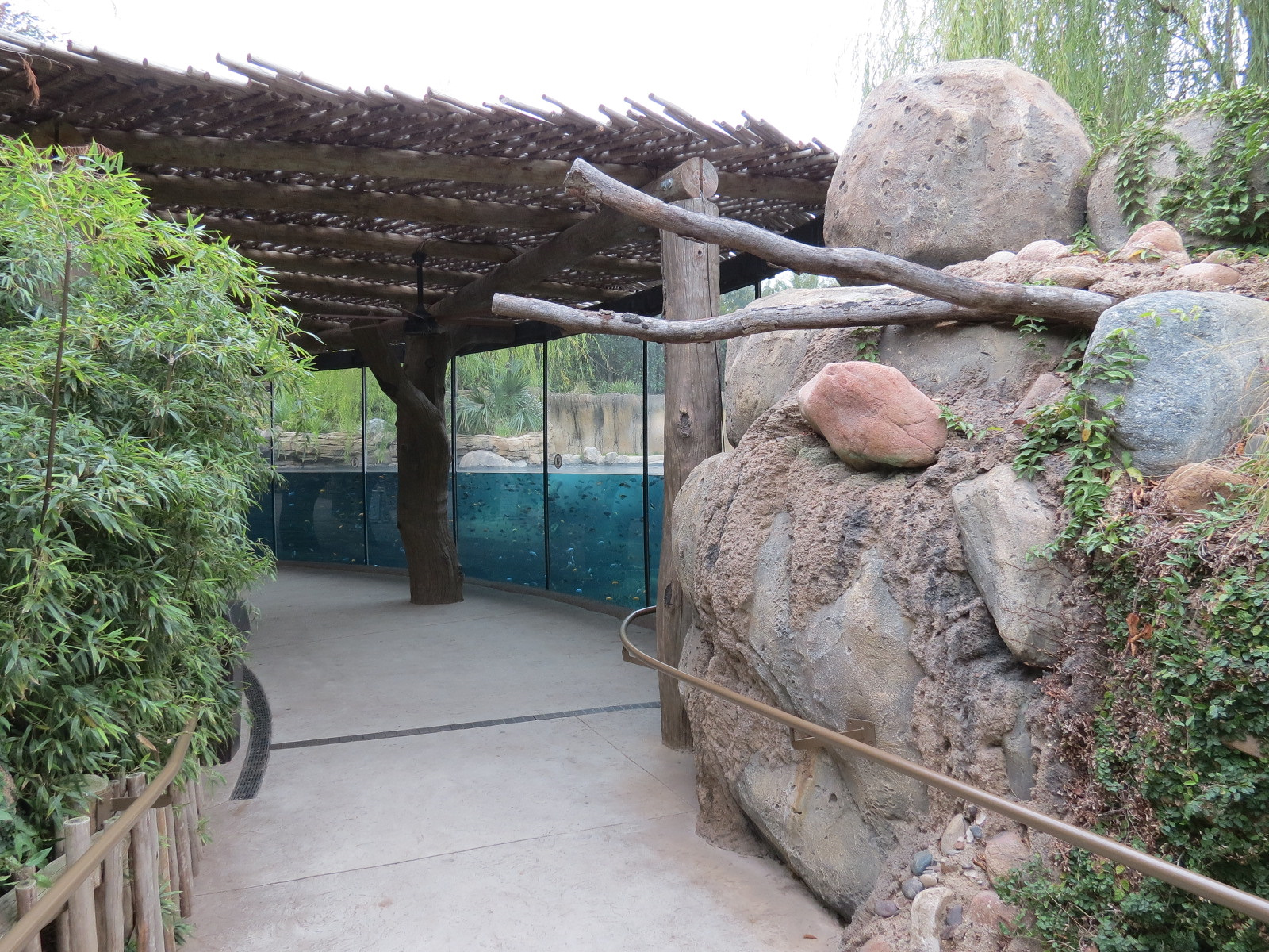 African Savanna - Hippopotamus Exhibit