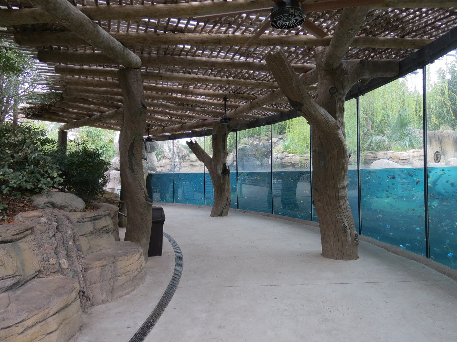 African Savanna - Hippopotamus Exhibit