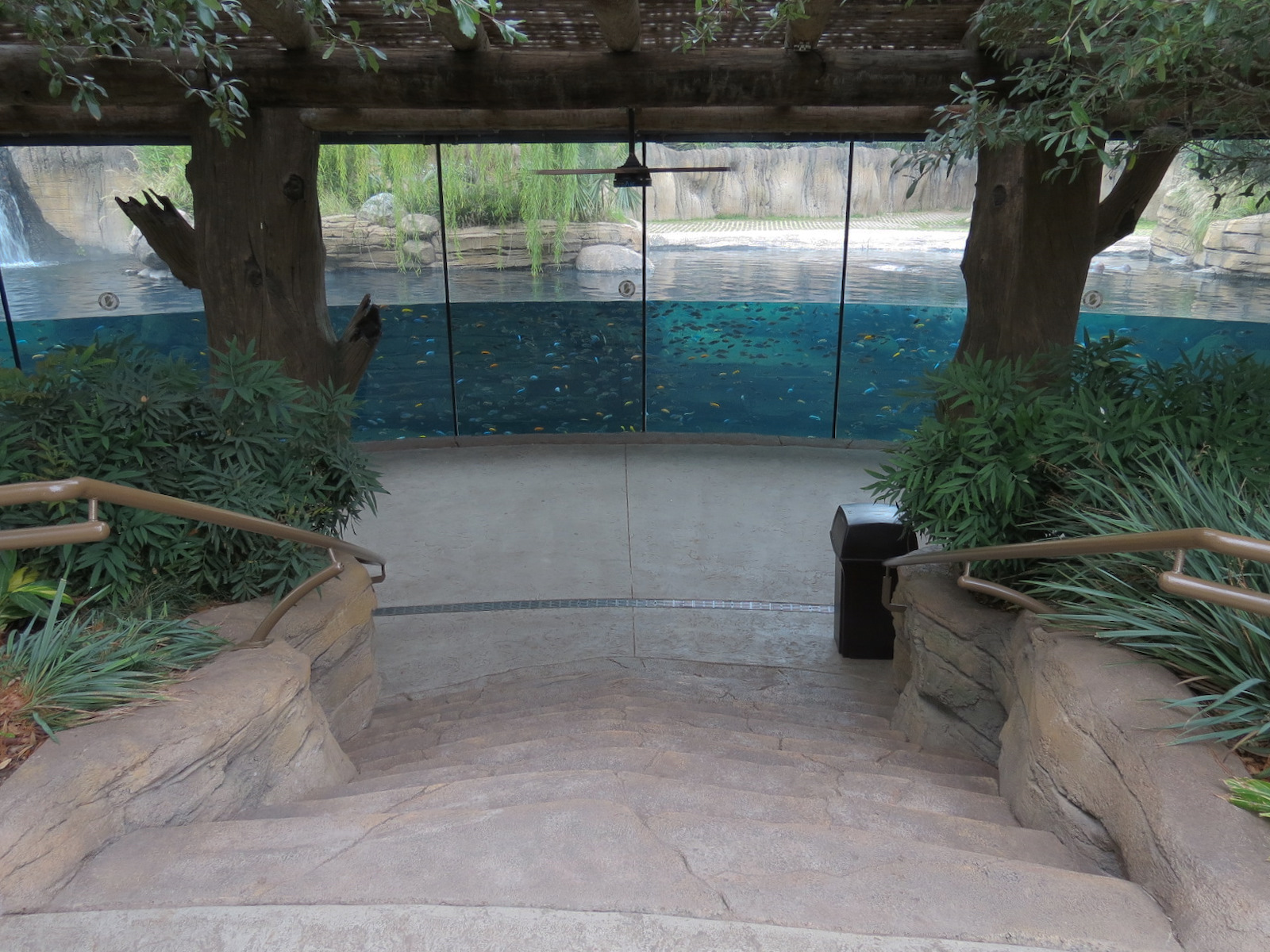 African Savanna - Hippopotamus Exhibit