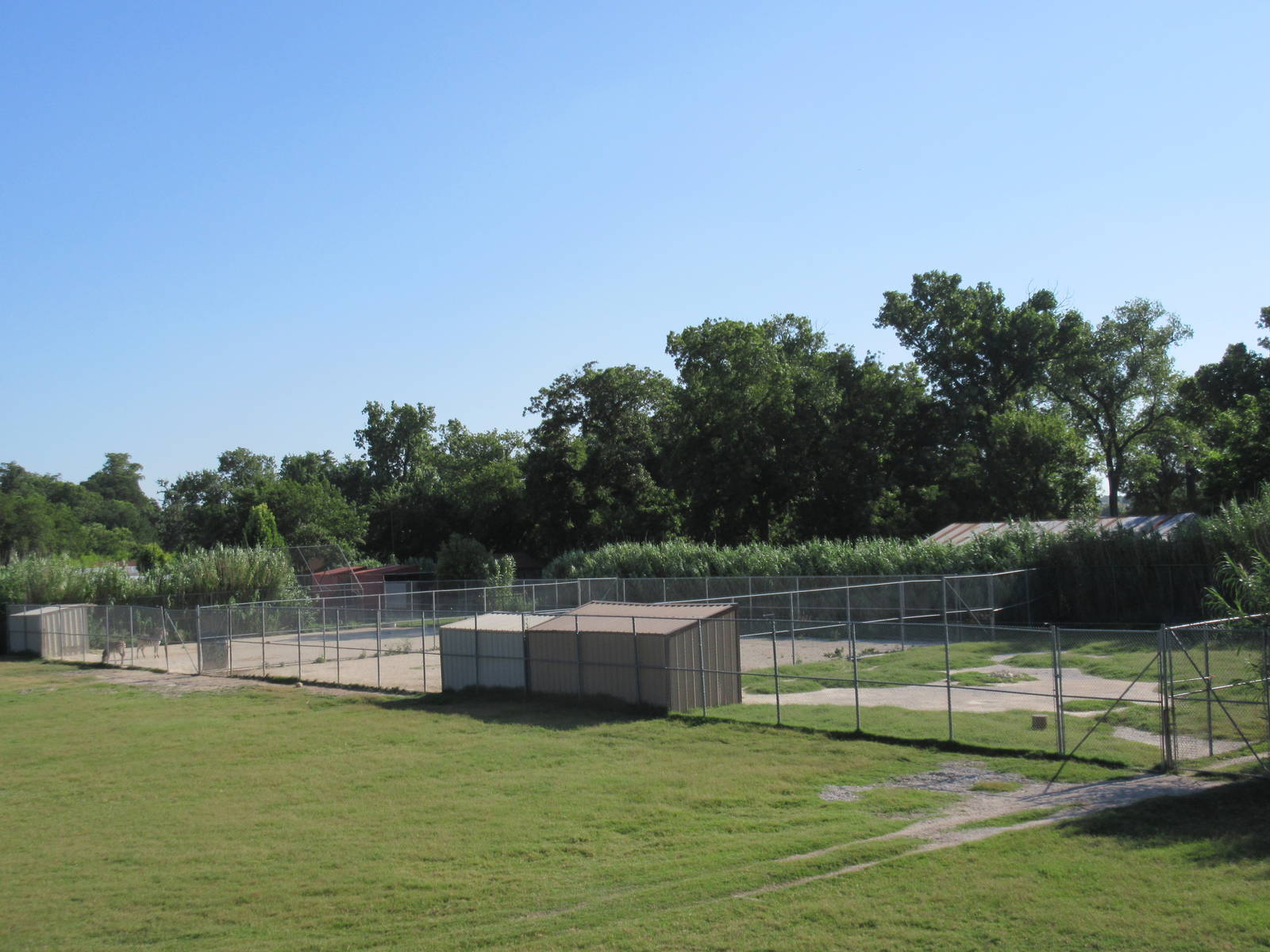 African Savanna - Holding Yards (currently with Grant's Zebra)