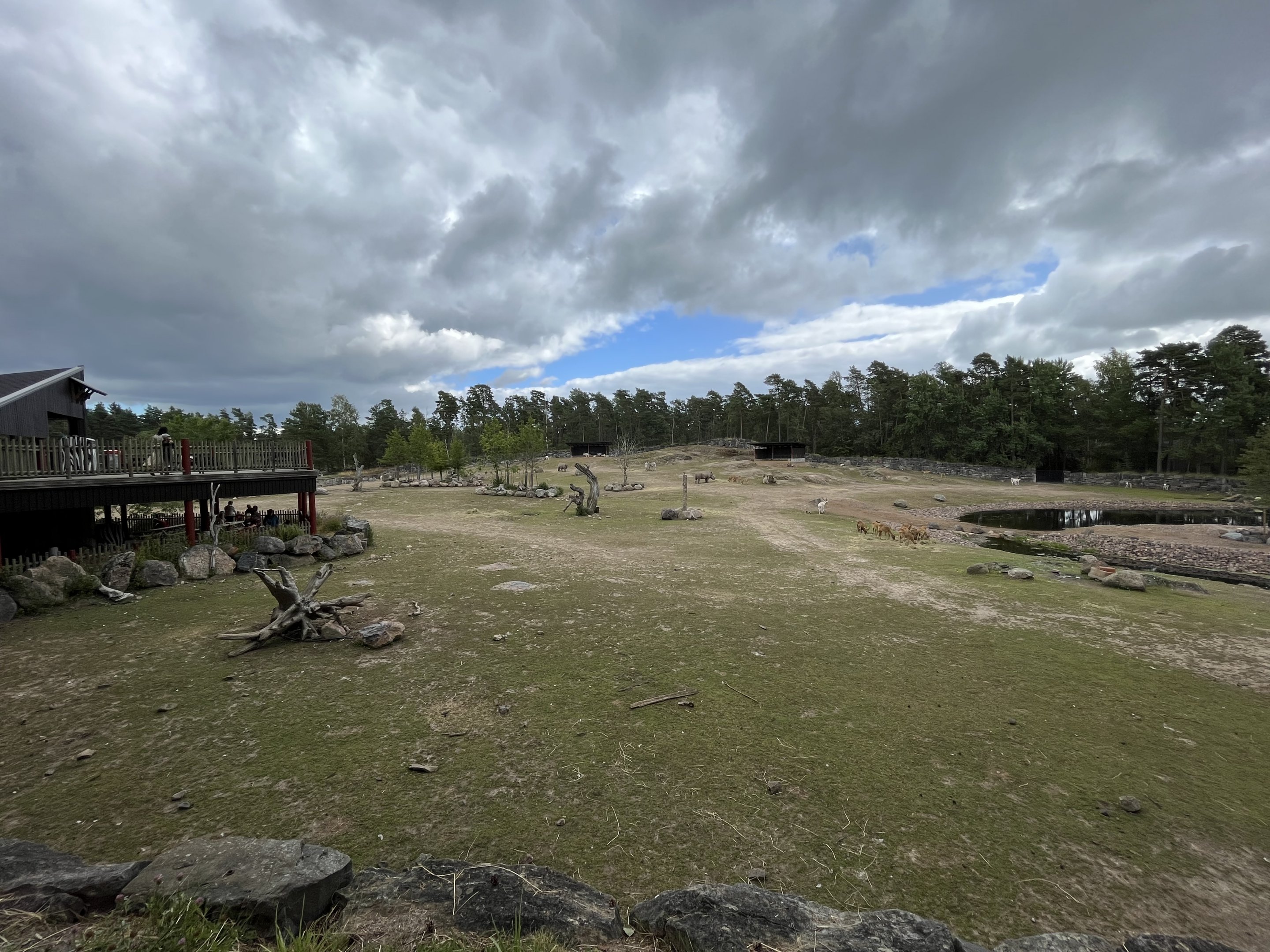 African Savanna - huge enclosure