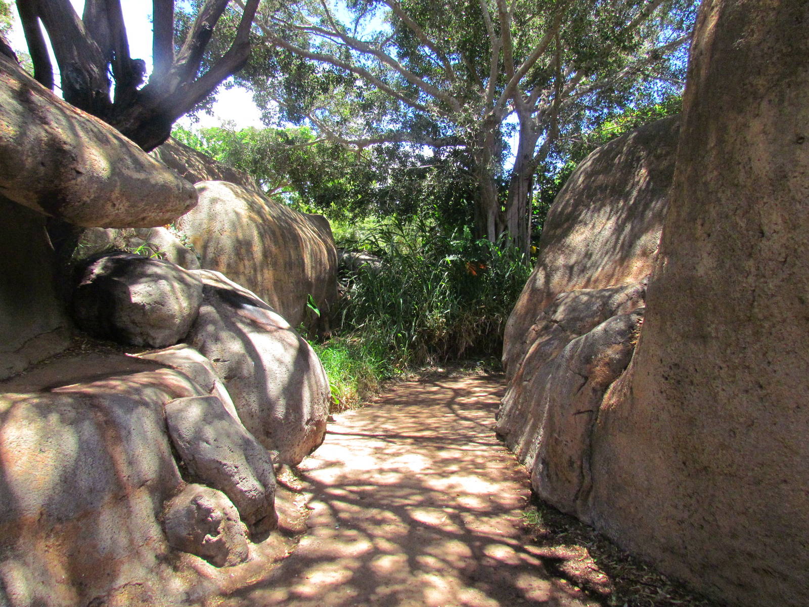 African Savanna - Kopje Walkway