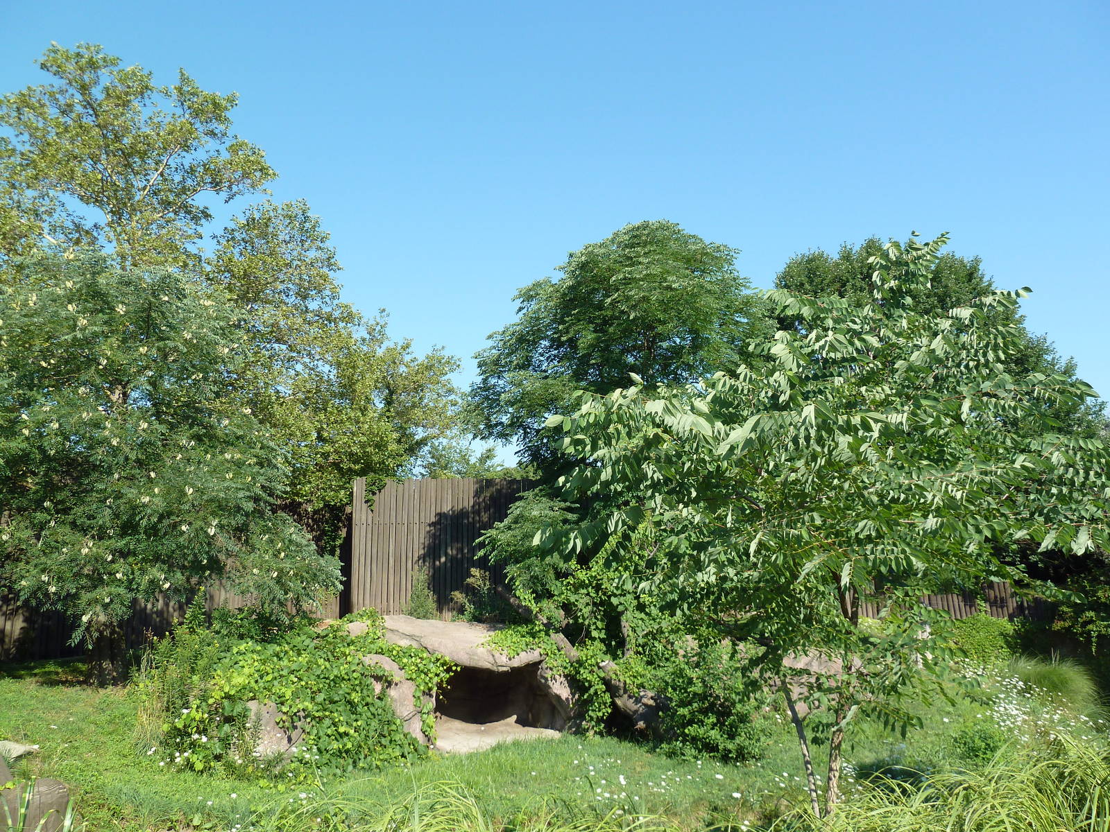 African Savanna - Lion Exhibit