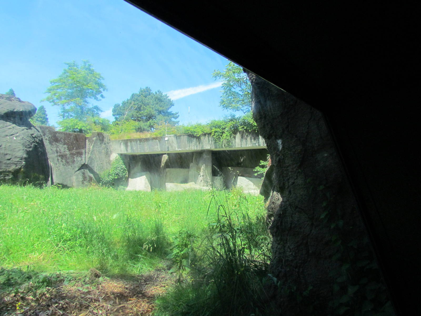 African Savanna - Lion Exhibit