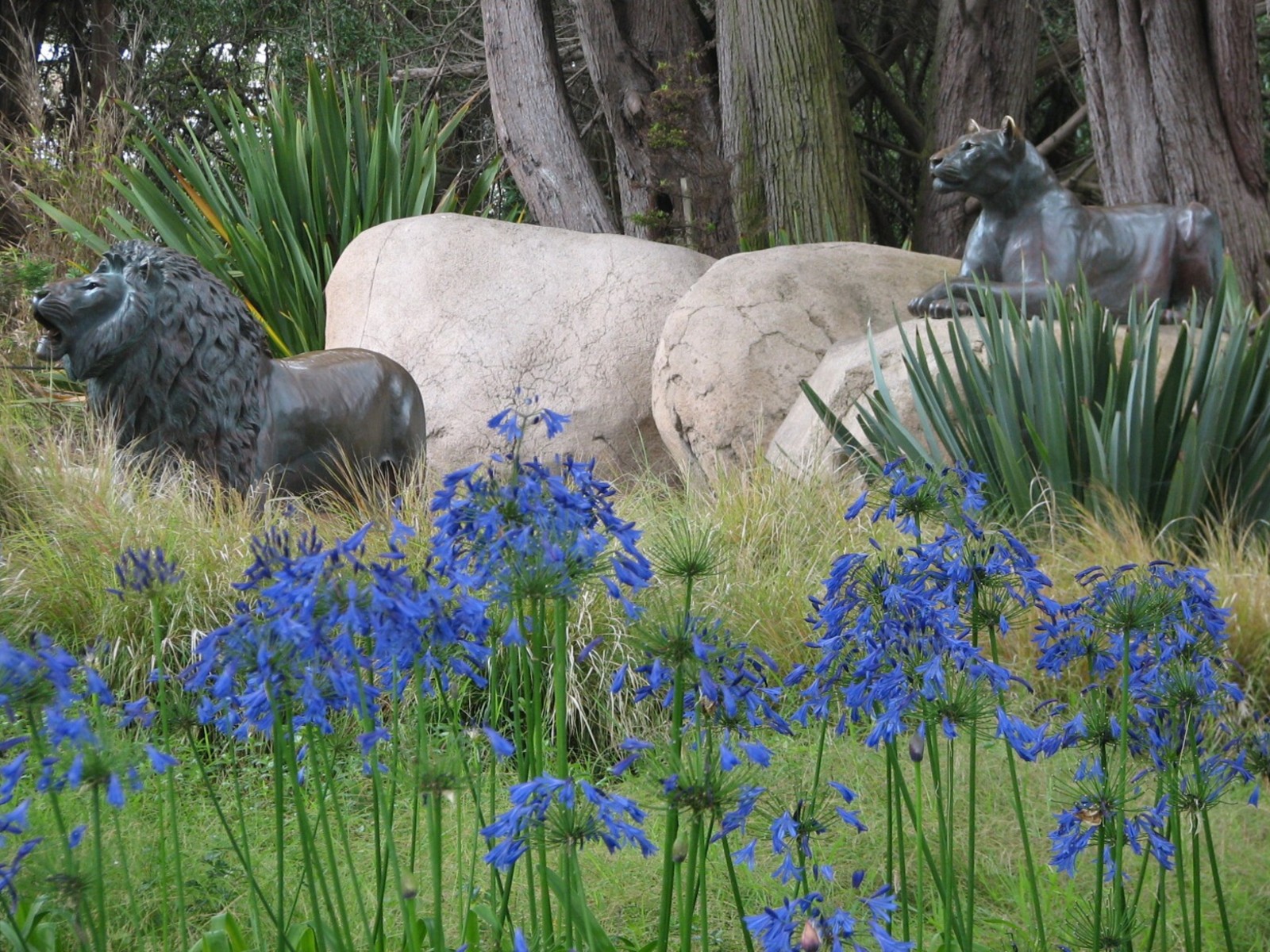 African Savanna - Lion Statues