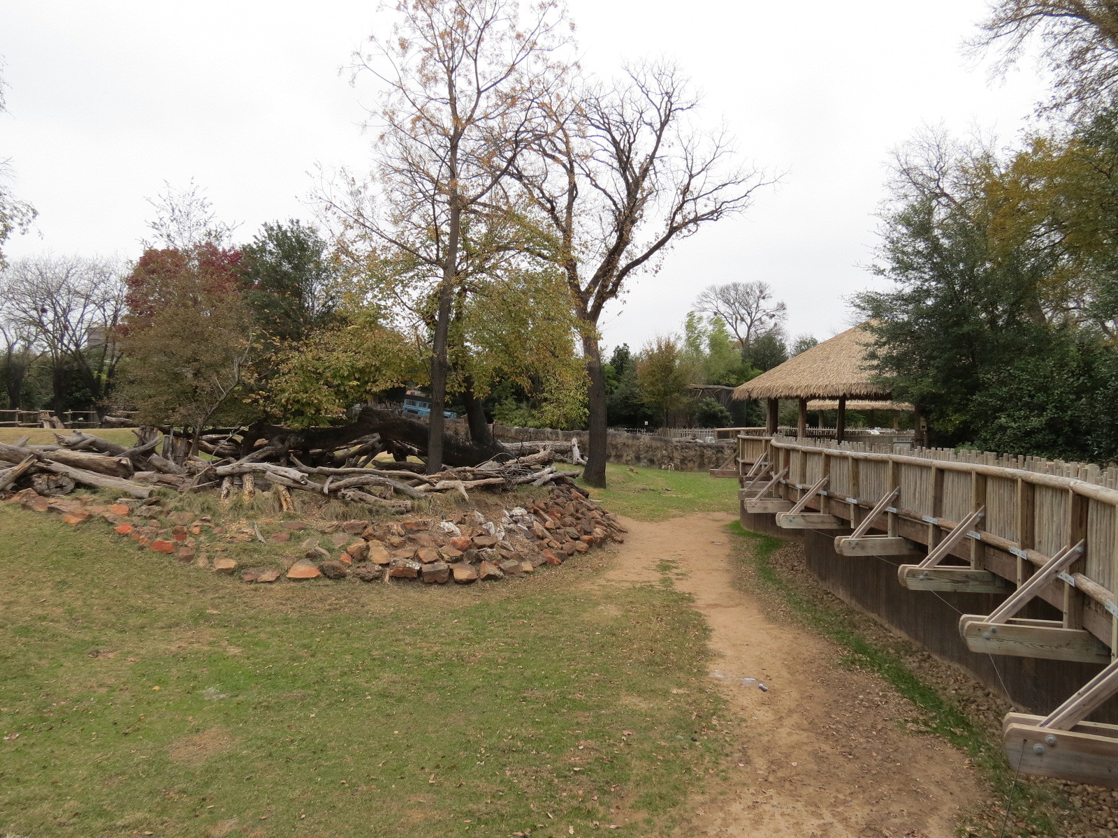 African Savanna - Main Exhibit - Extensive Giraffe Feeding Area