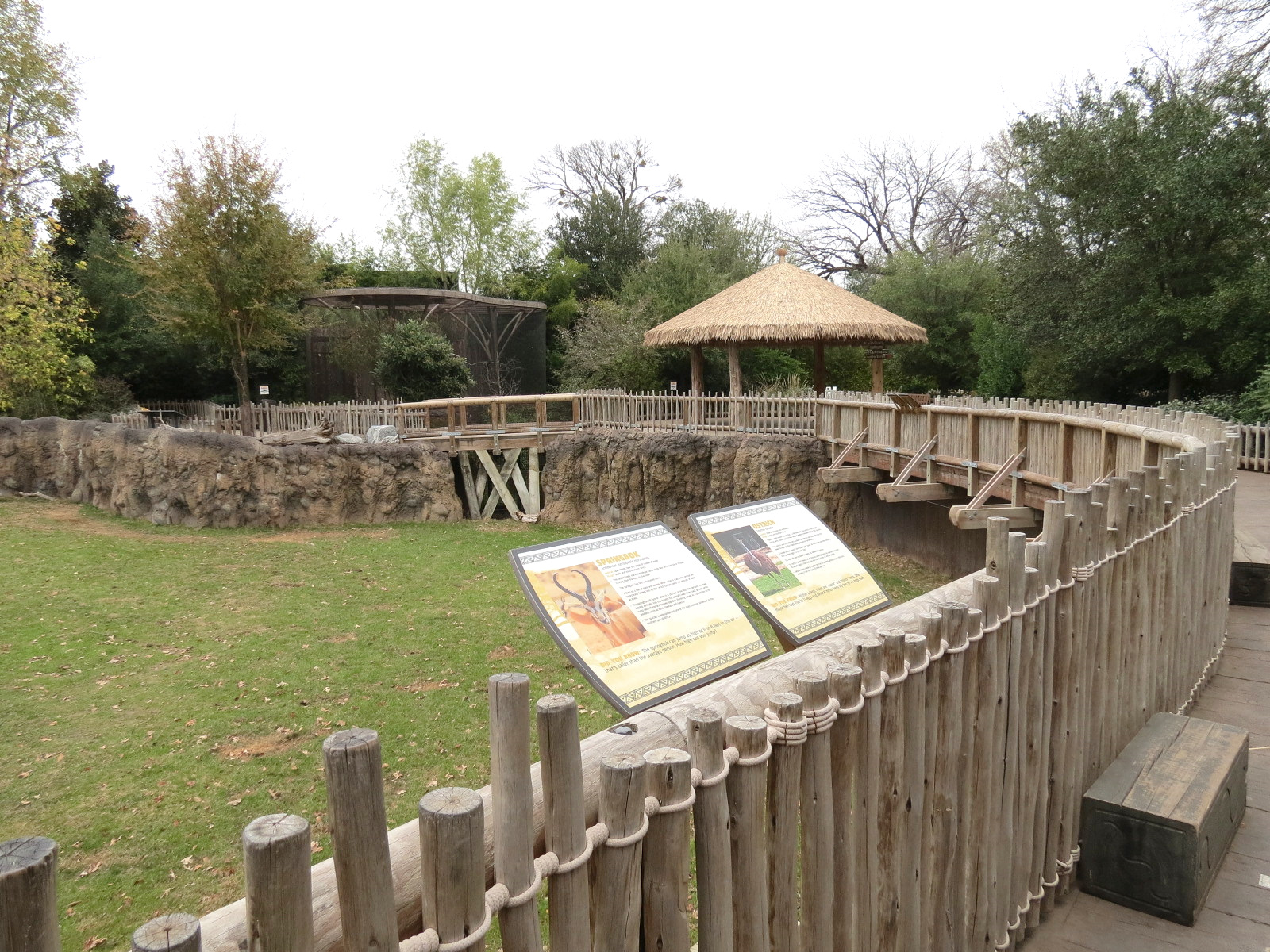 African Savanna - Main Exhibit - Extensive Giraffe Feeding Area