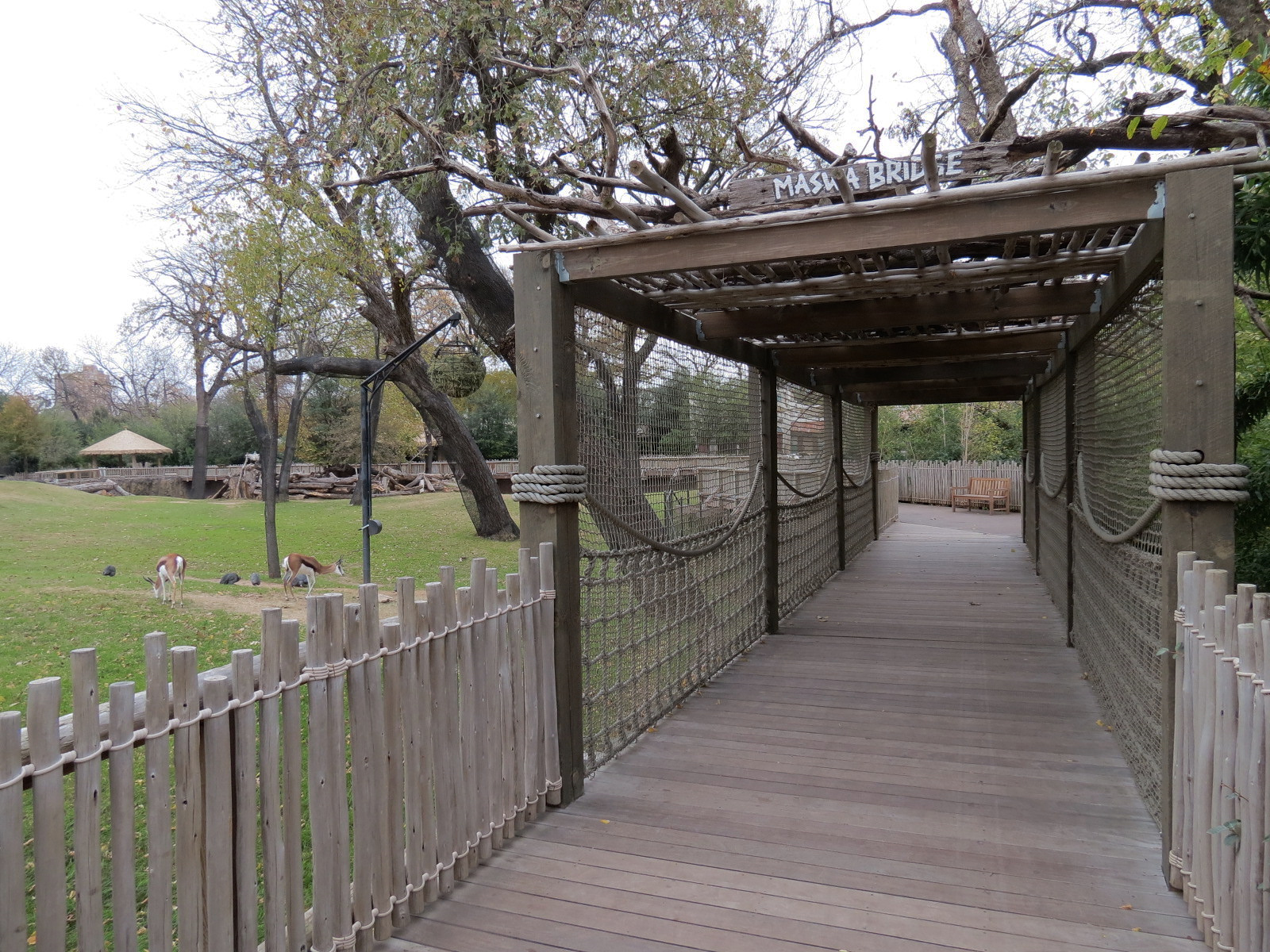 African Savanna - Main Exhibit - Maswa Bridge