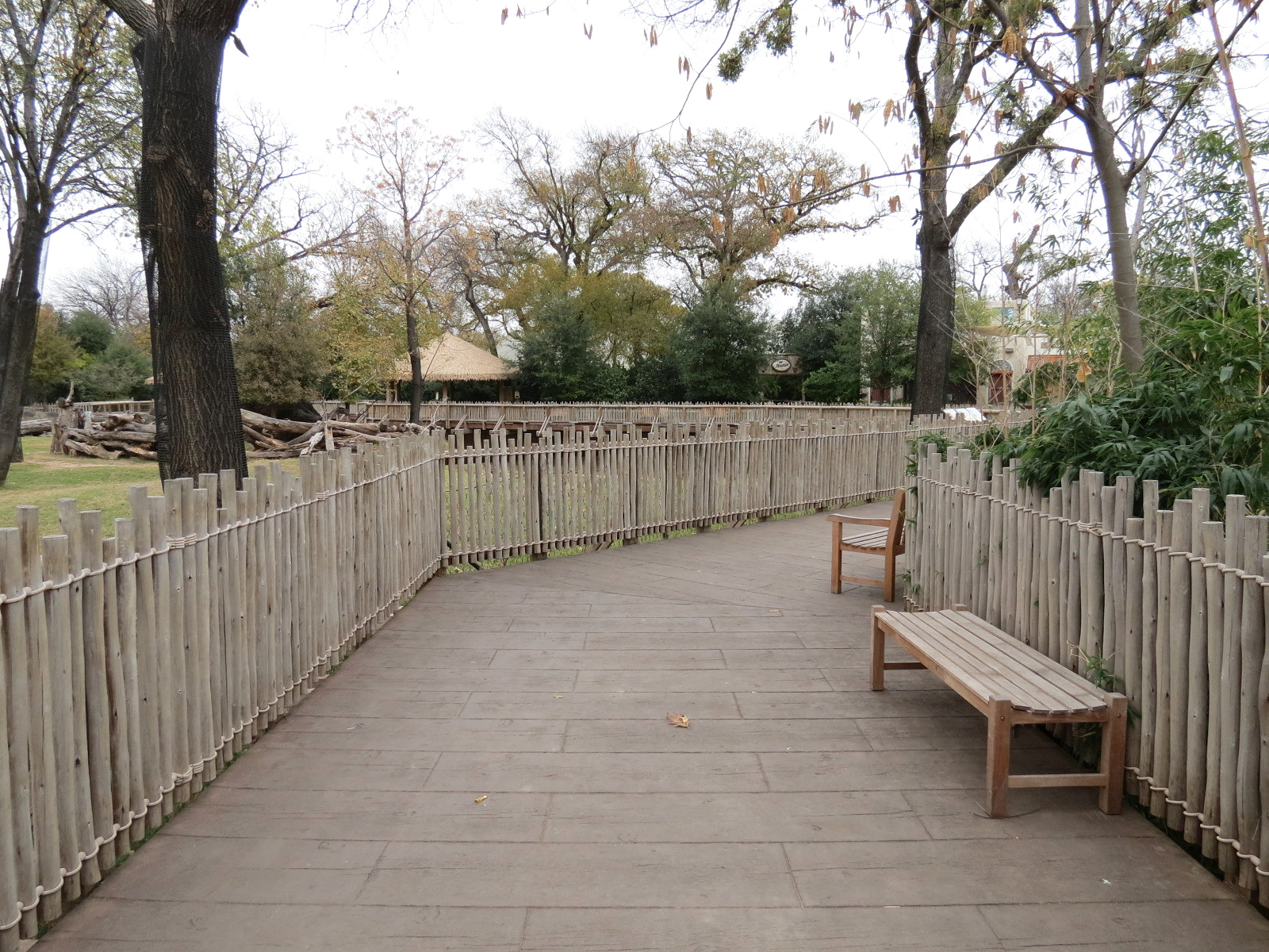 African Savanna - Main Exhibit - Walkway