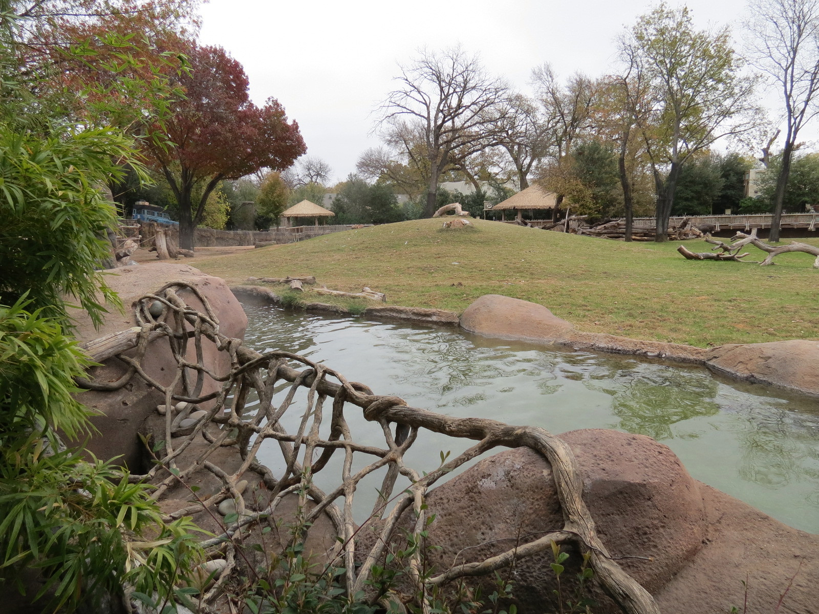 African Savanna - Main Exhibit - Waterhole Area