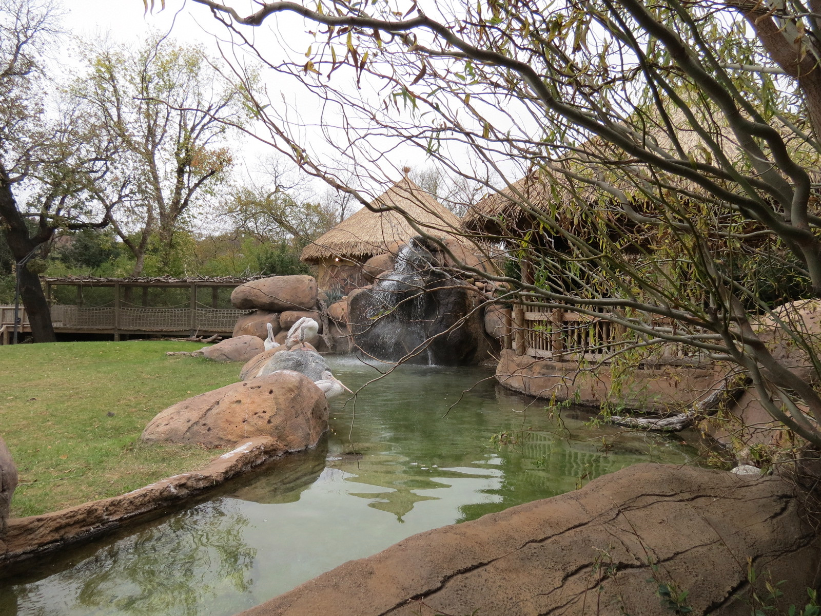African Savanna - Main Exhibit - Waterhole Area