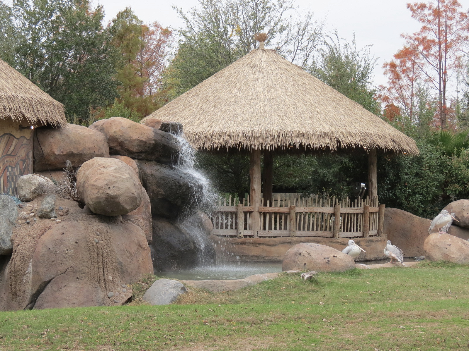 African Savanna - Main Exhibit - Waterhole Area