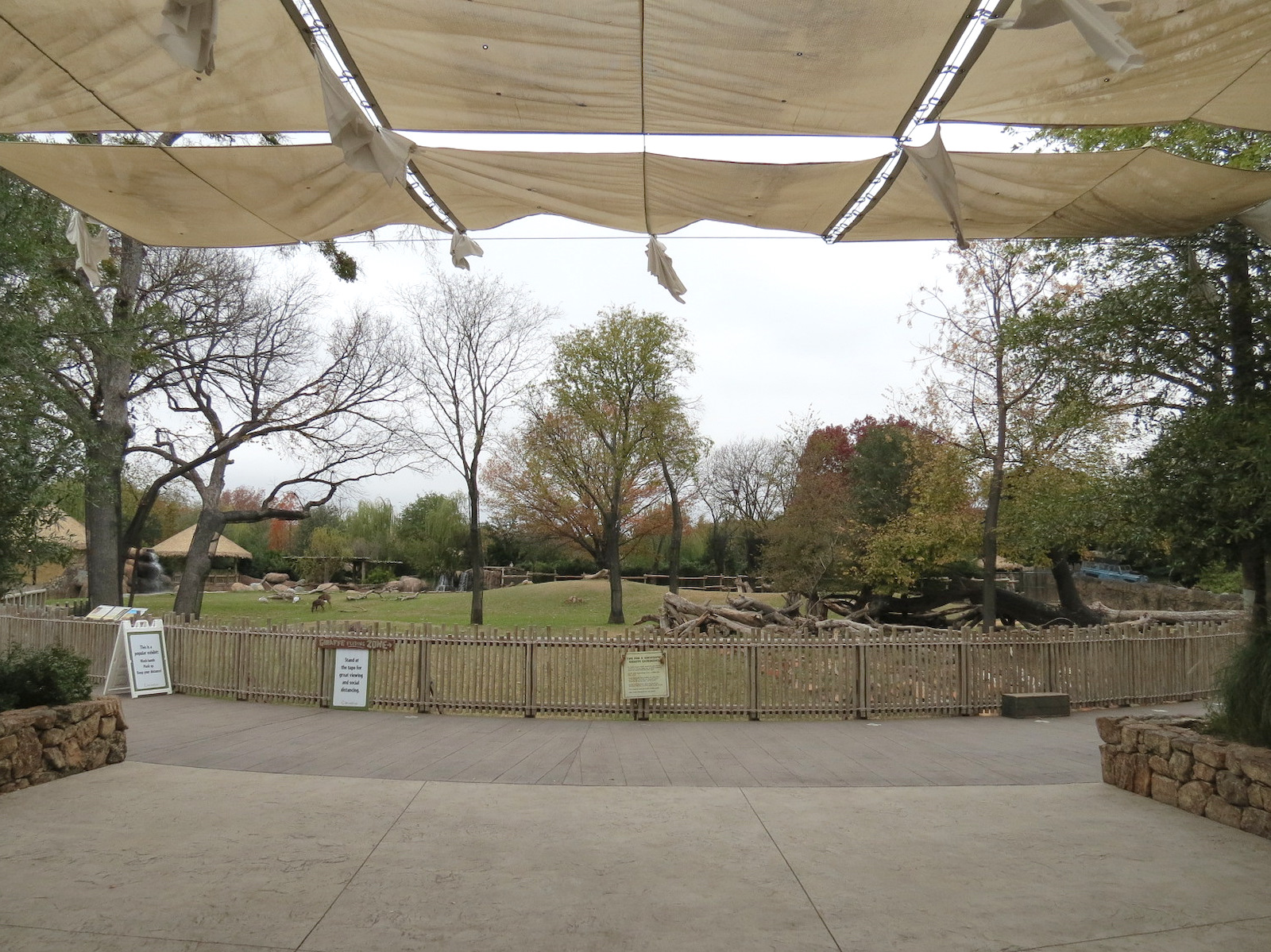 African Savanna - Main Exhibit