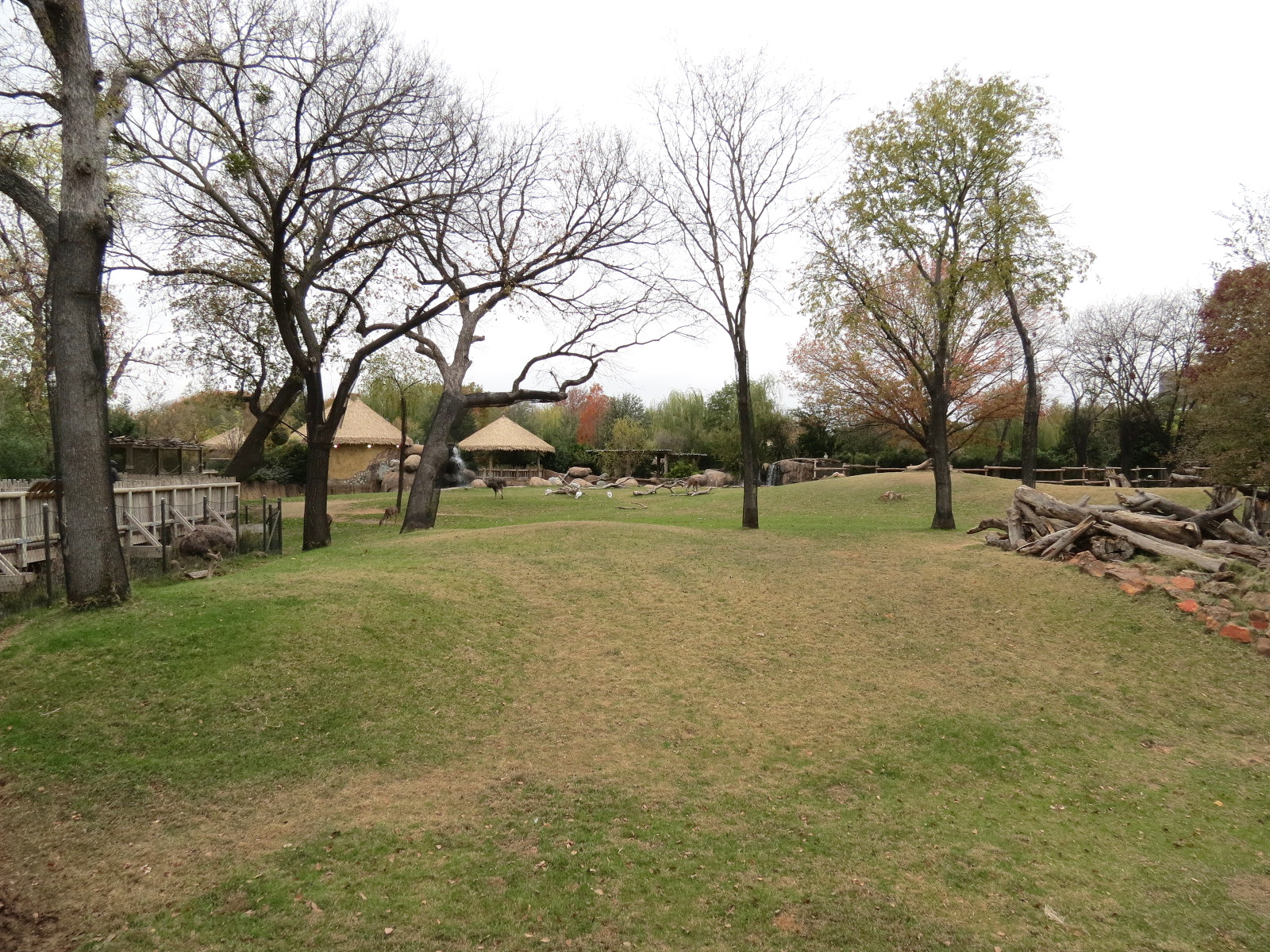 African Savanna - Main Exhibit