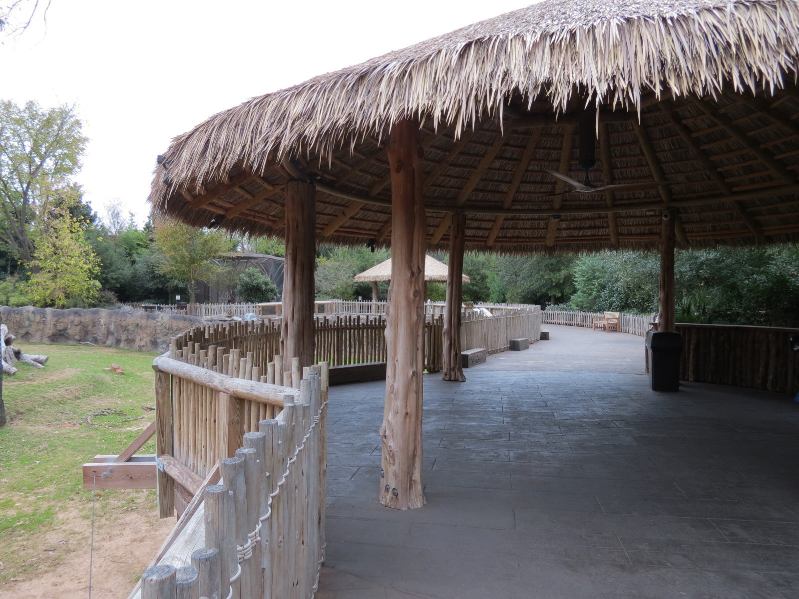 African Savanna - Main Exhibit