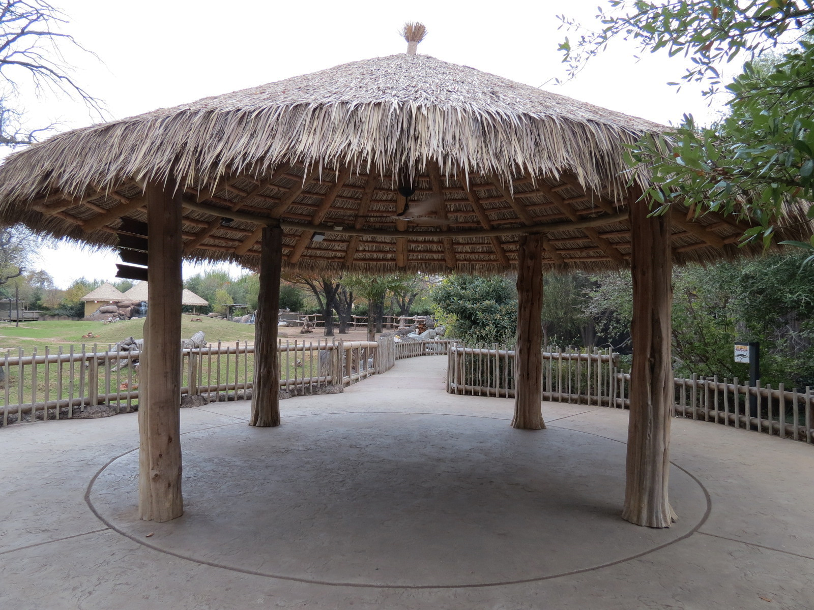 African Savanna - Main Exhibit