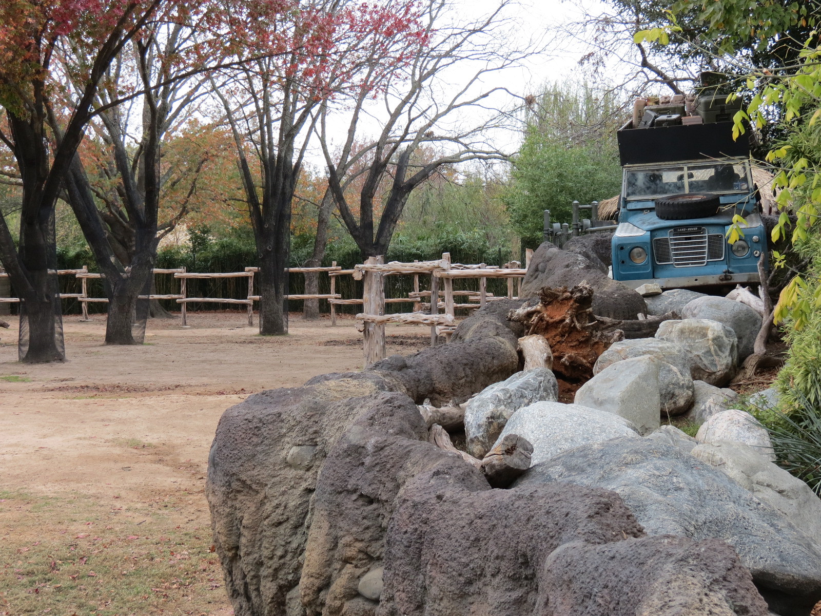 African Savanna - Main Exhibit