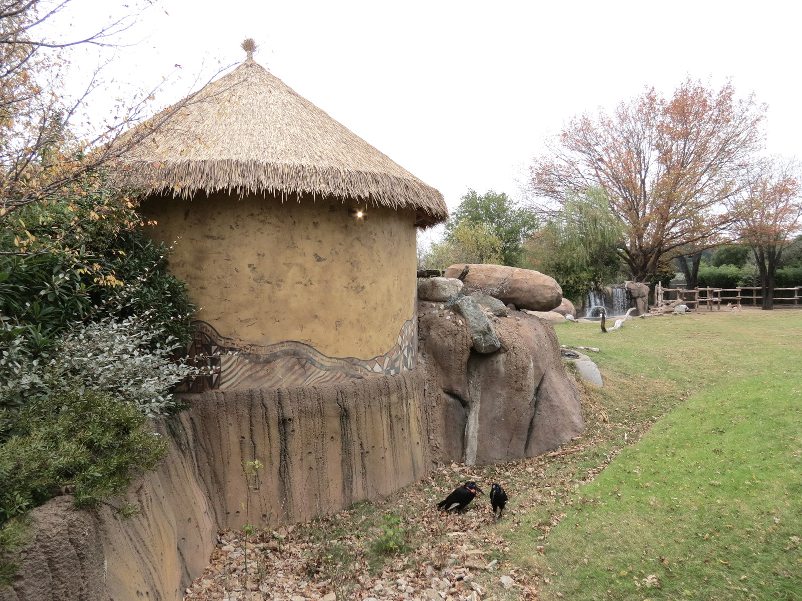African Savanna - Main Exhibit