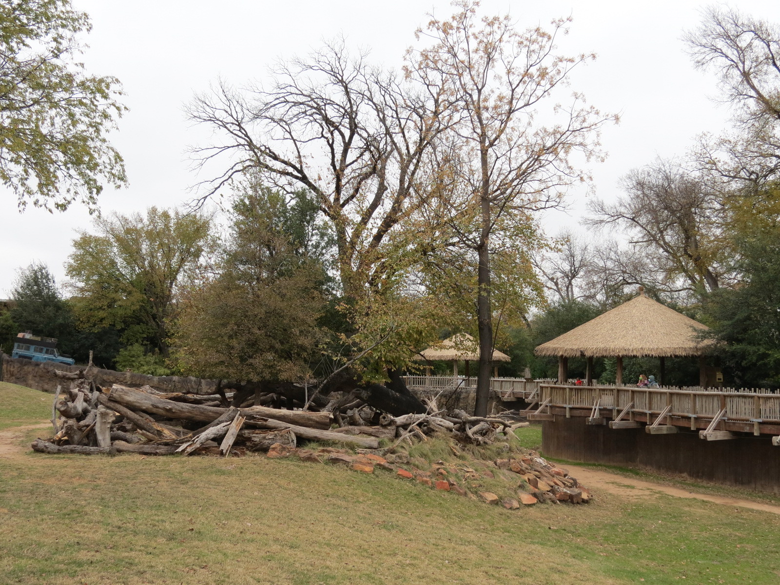 African Savanna - Main Exhibit