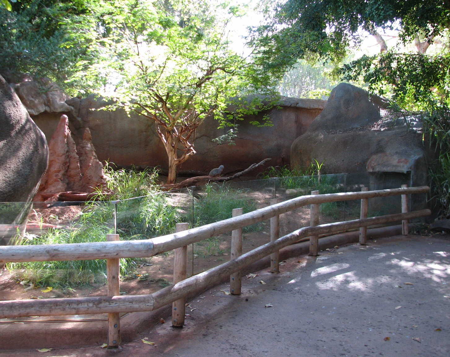 African Savanna Meerkat Exhibit