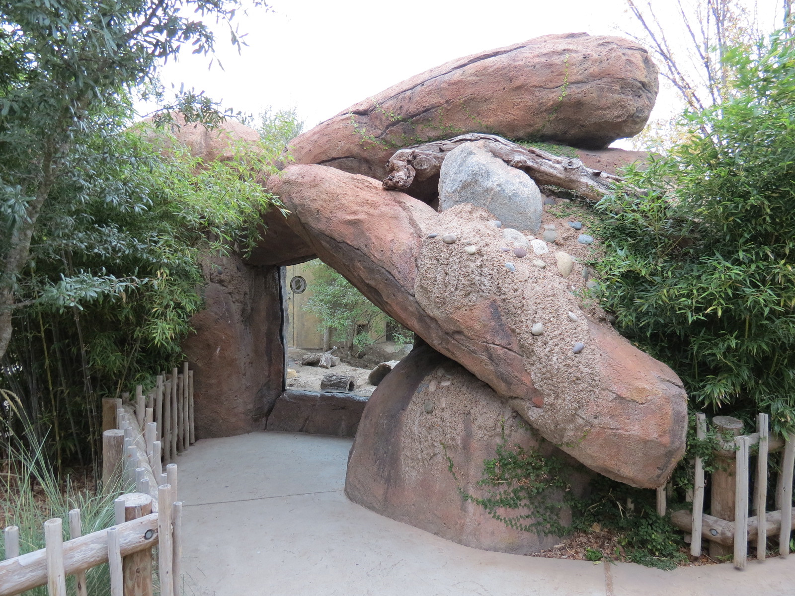 African Savanna - Meerkat Exhibit