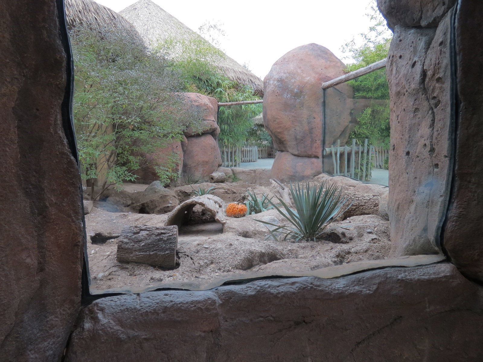 African Savanna - Meerkat Exhibit