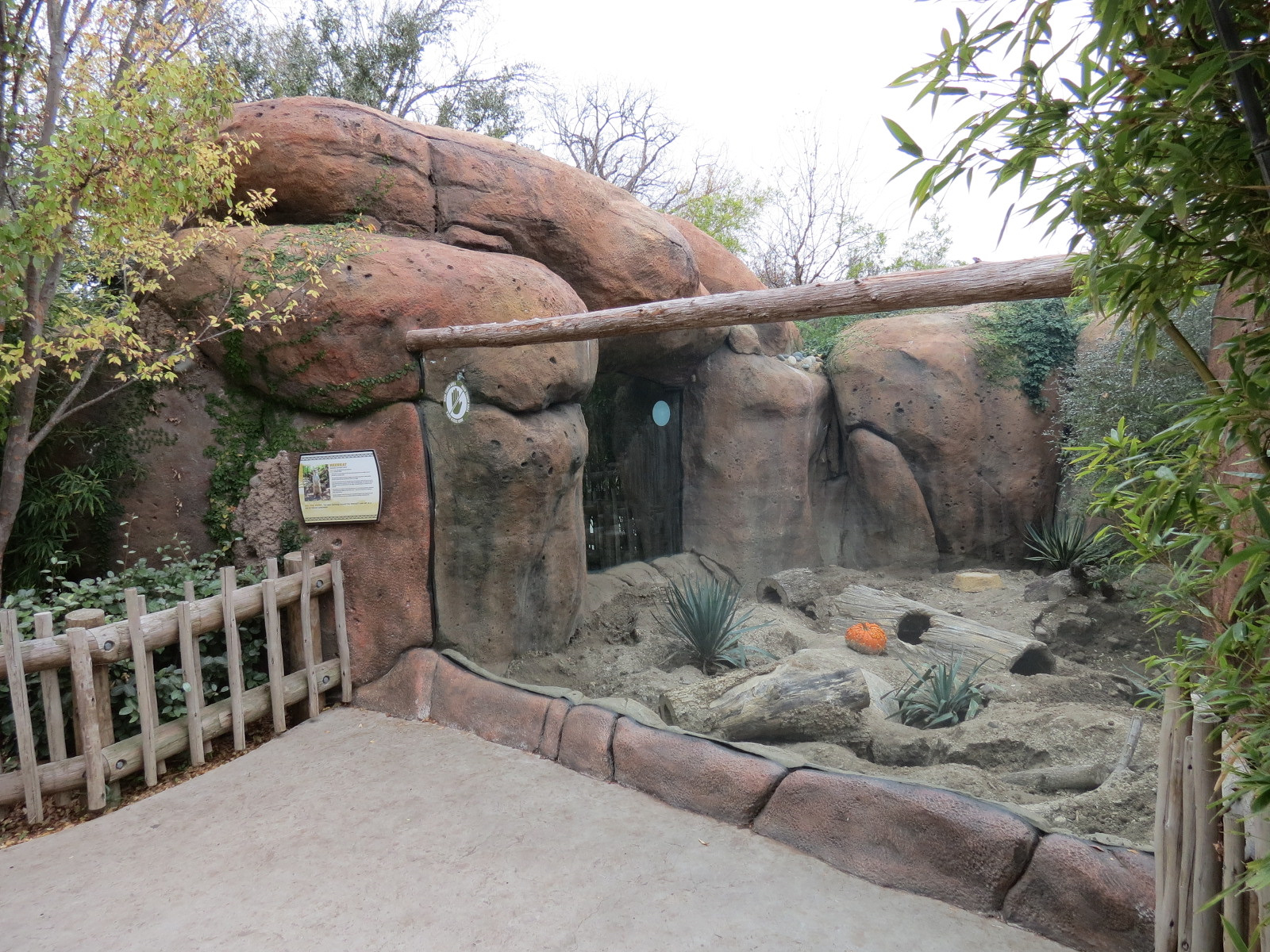 African Savanna - Meerkat Exhibit