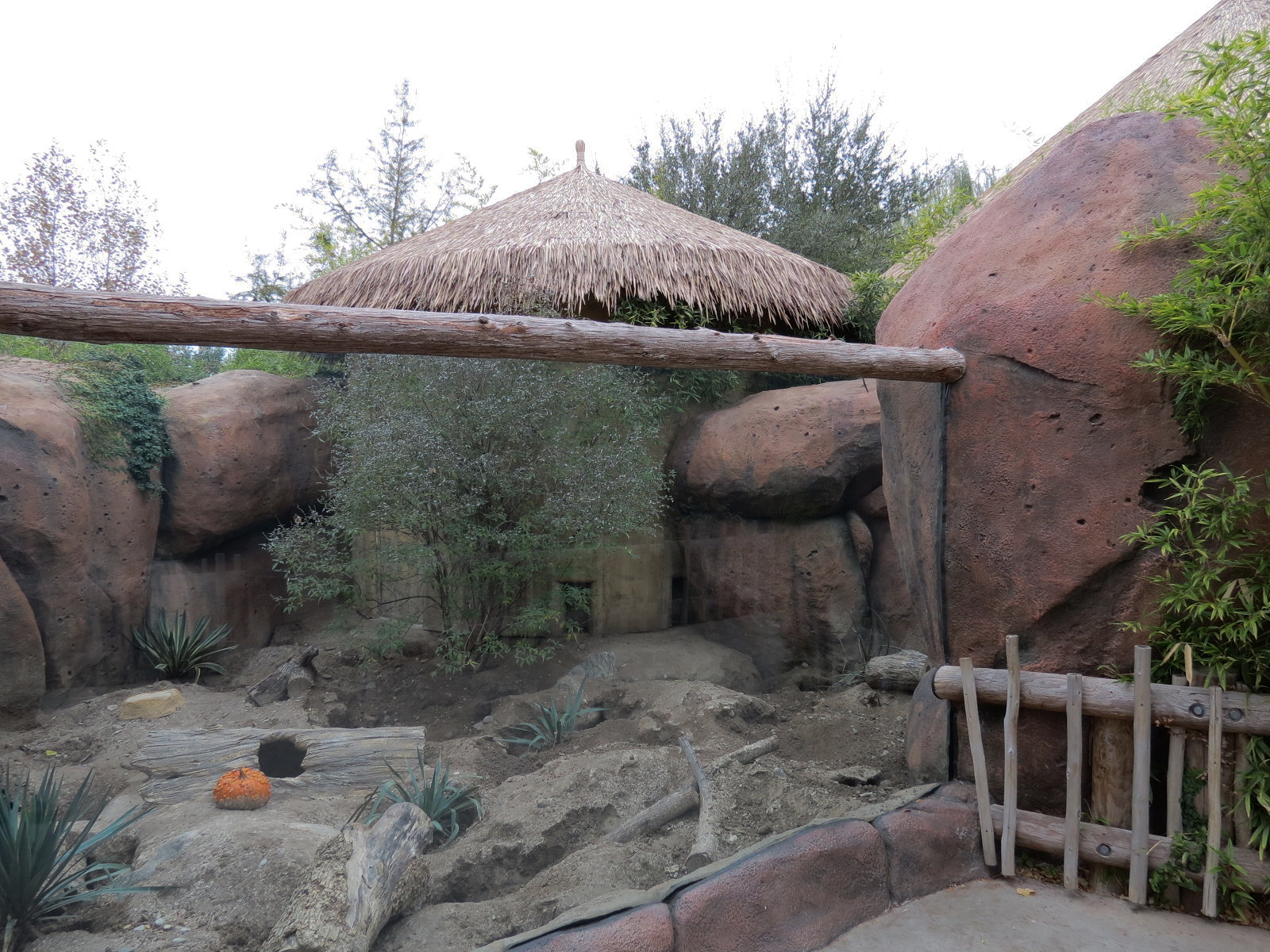 African Savanna - Meerkat Exhibit