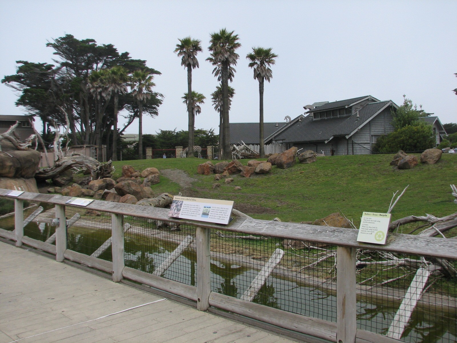 African Savanna - Middle Viewing Area