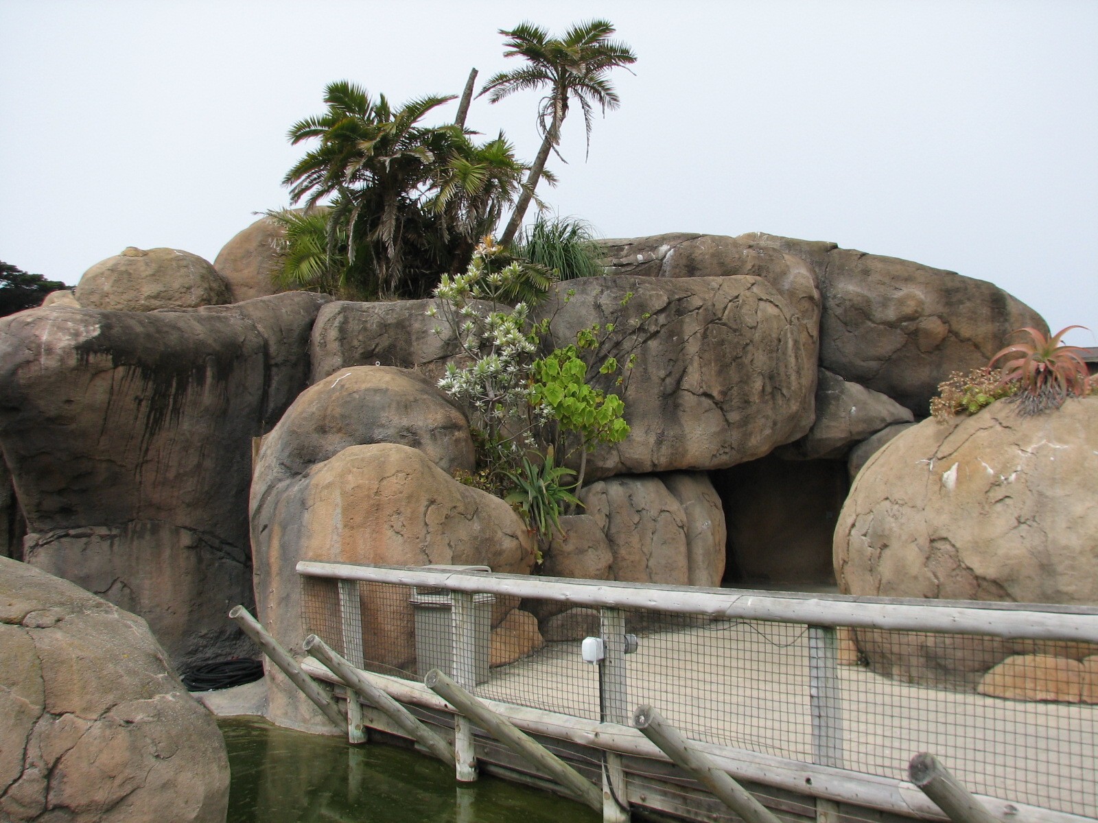 African Savanna - Middle Viewing Area