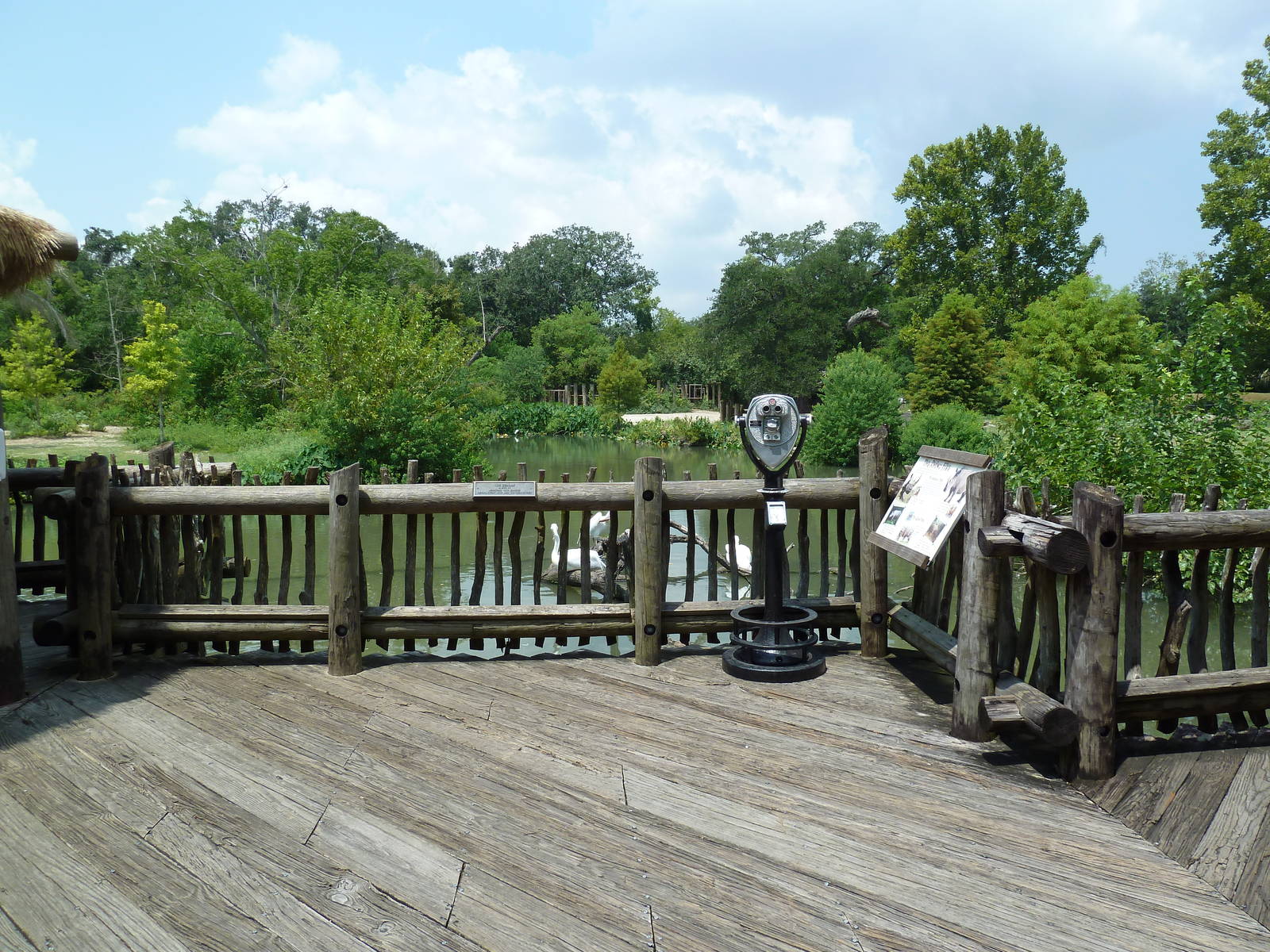 African Savanna - Mixed-Species Exhibit (5 Species)