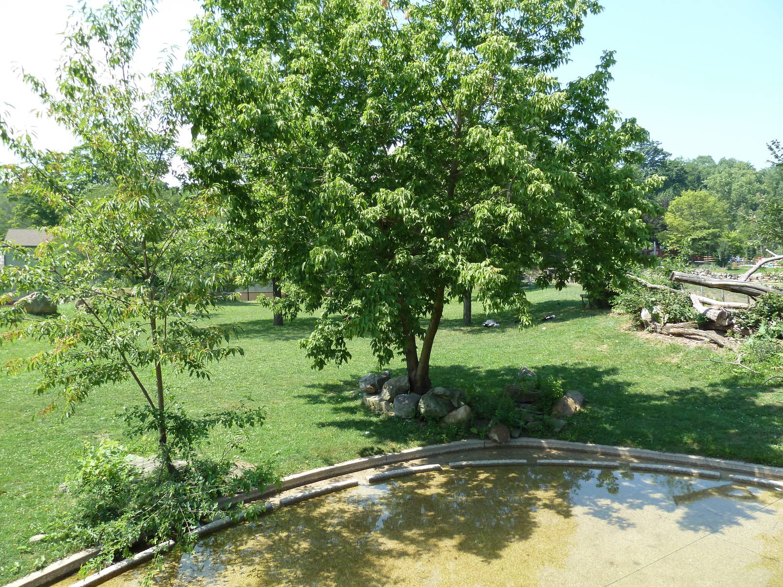 African Savanna - Mixed-Species Exhibit