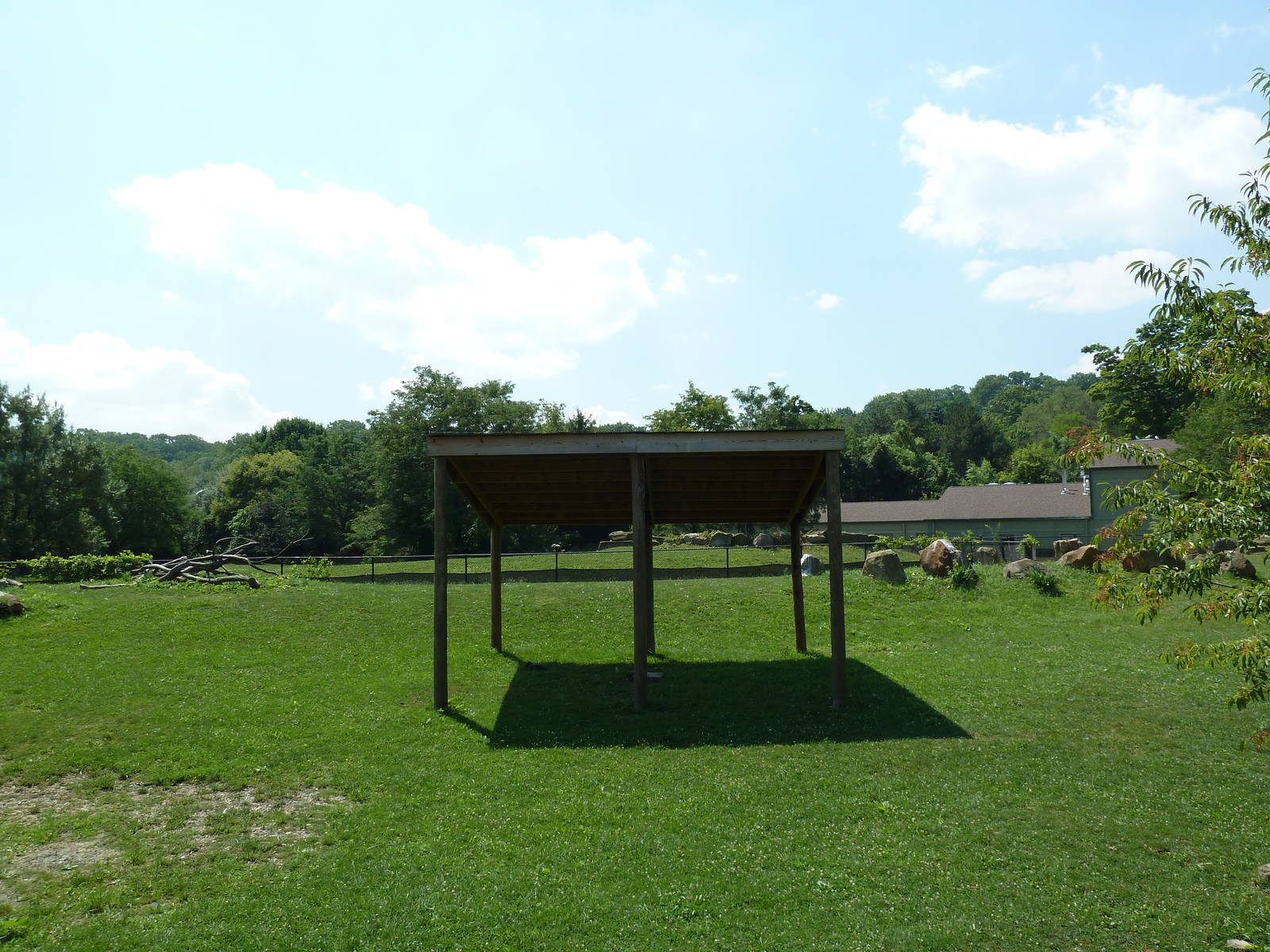 African Savanna - Mixed-Species Exhibit
